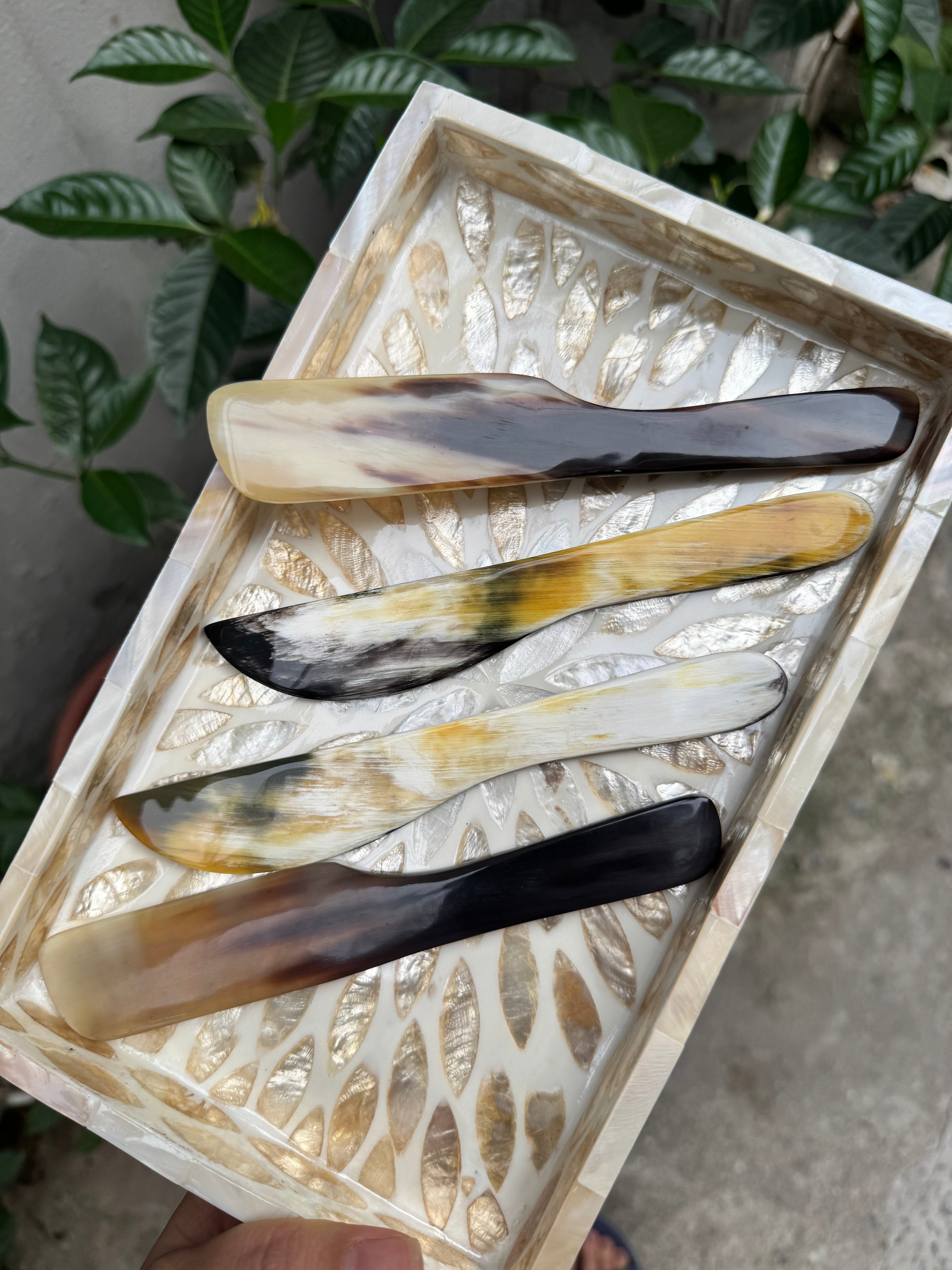 Sample 2 Pcs Buffalo Horn Spreaders