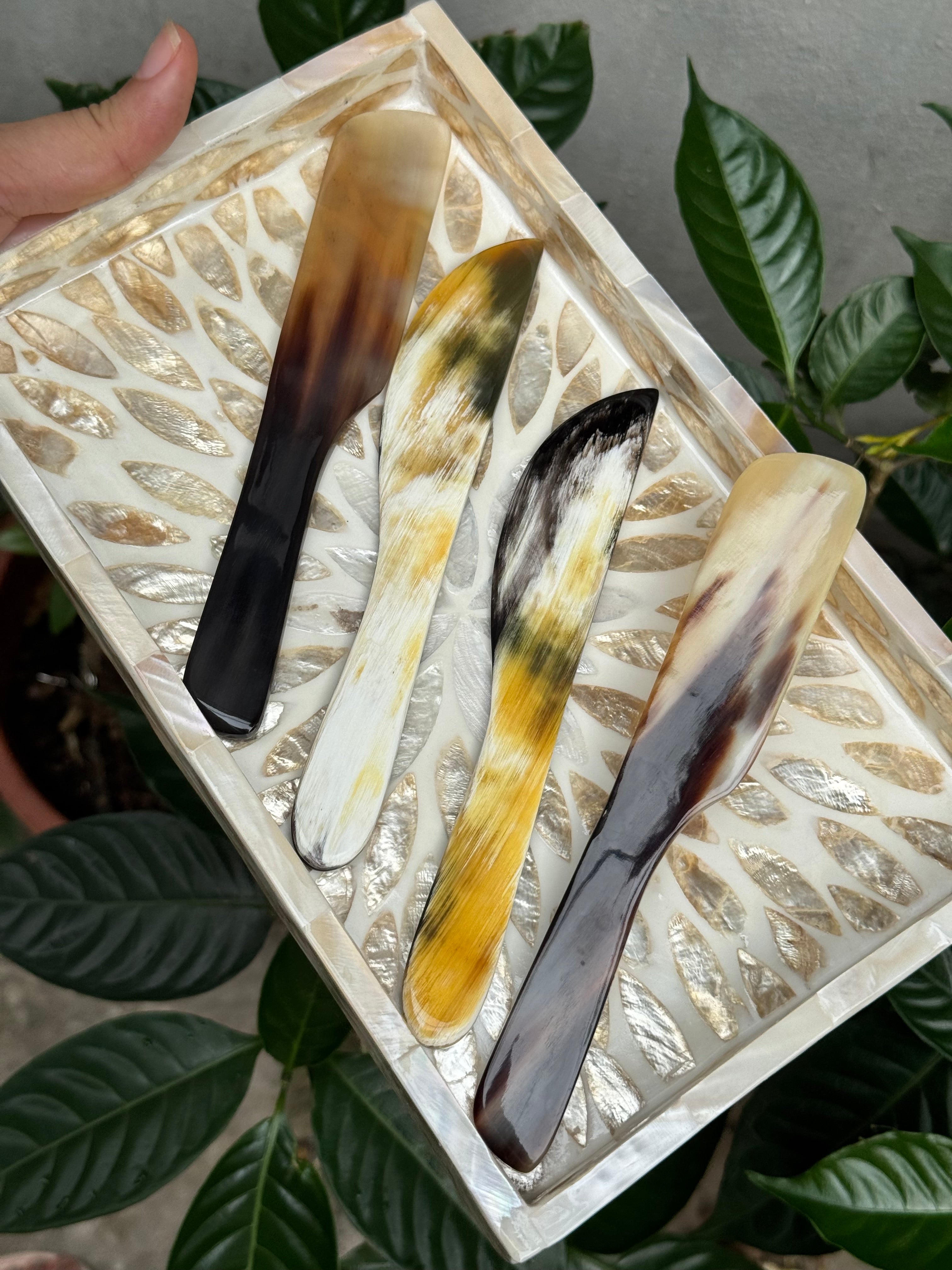 Sample 2 Pcs Buffalo Horn Spreaders