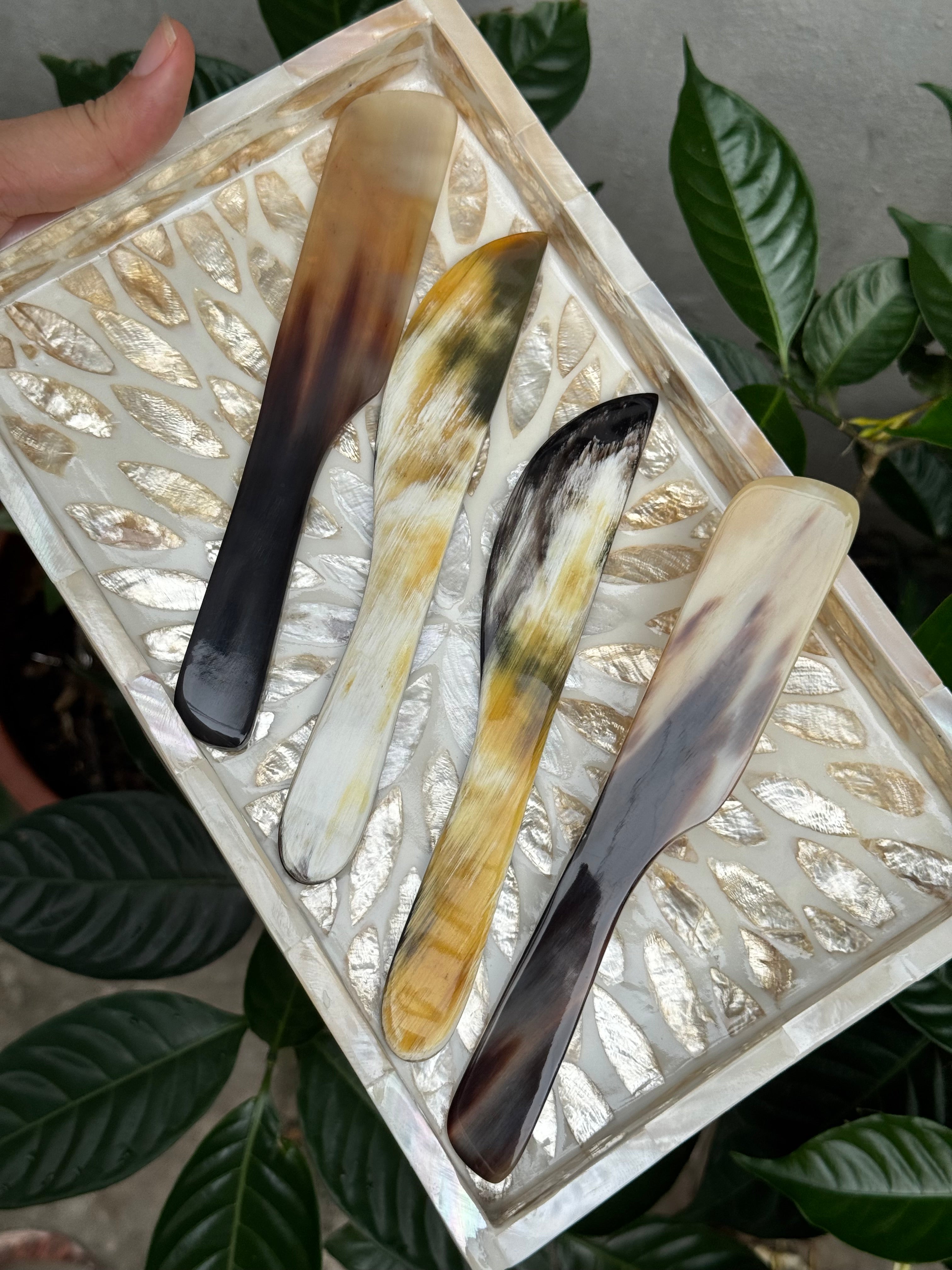 Sample 2 Pcs Buffalo Horn Spreaders