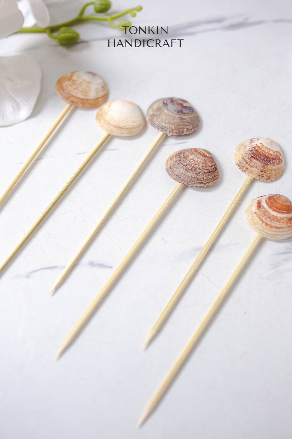 Venus Clam Shell Toothpick