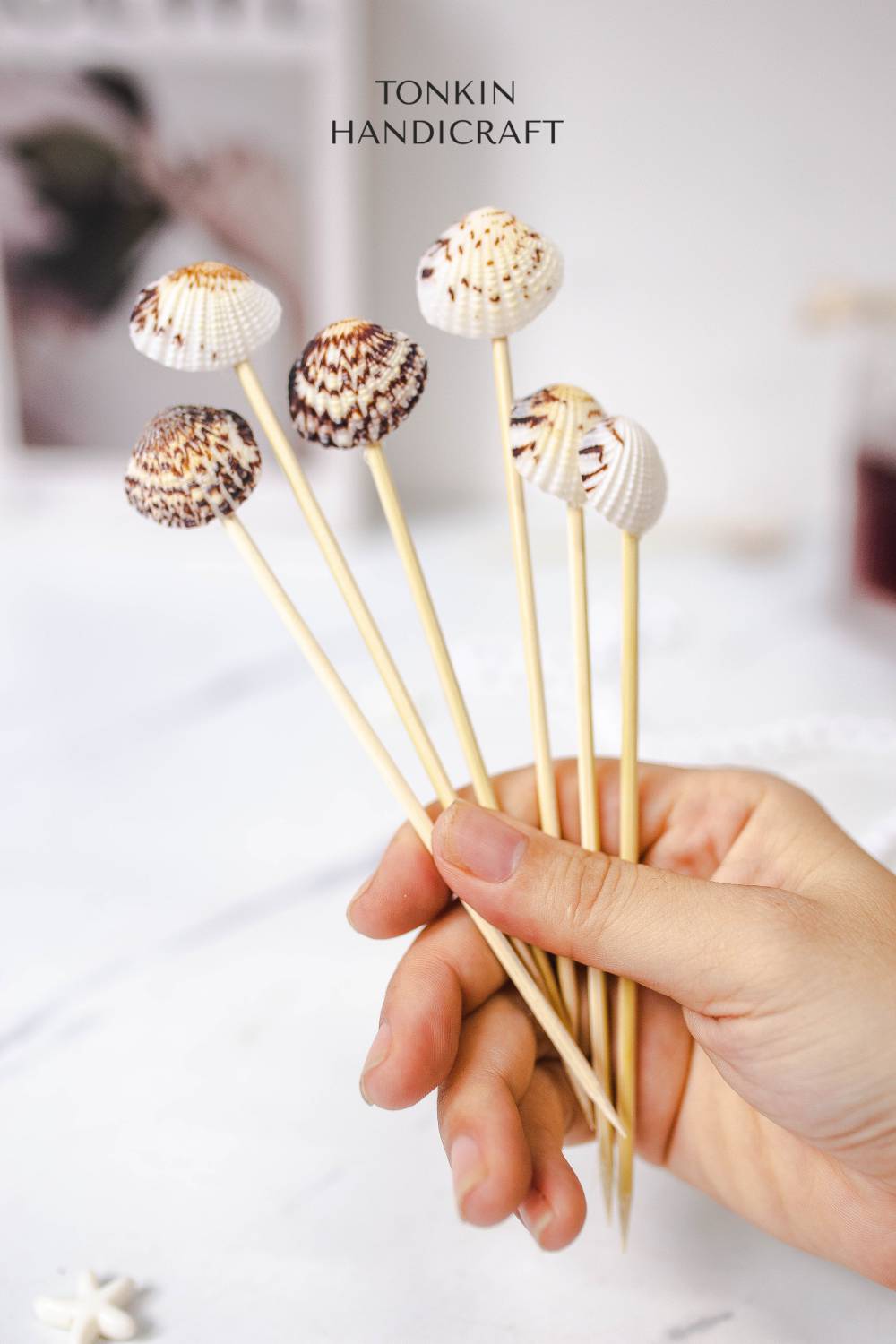 Venus Clam Shell Toothpick