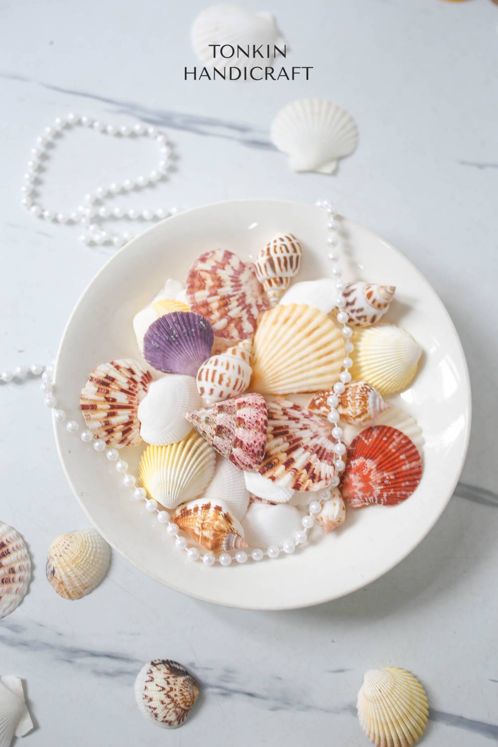 Natural Shell Vase Filler - Shell Craft