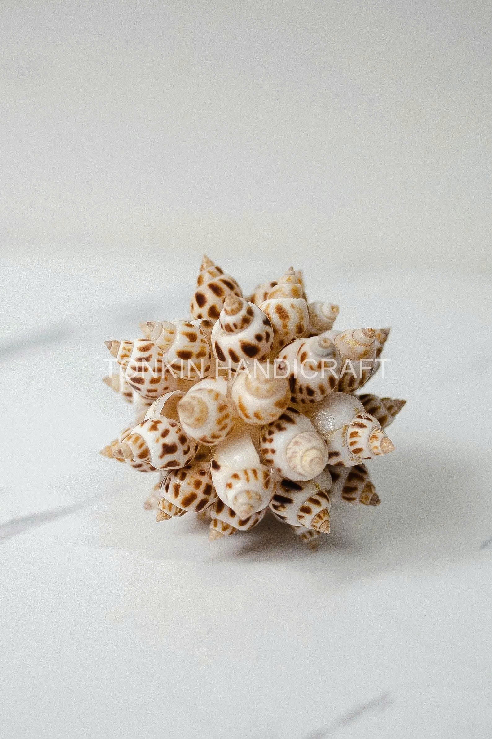 Floral Ark Shell Ball 4