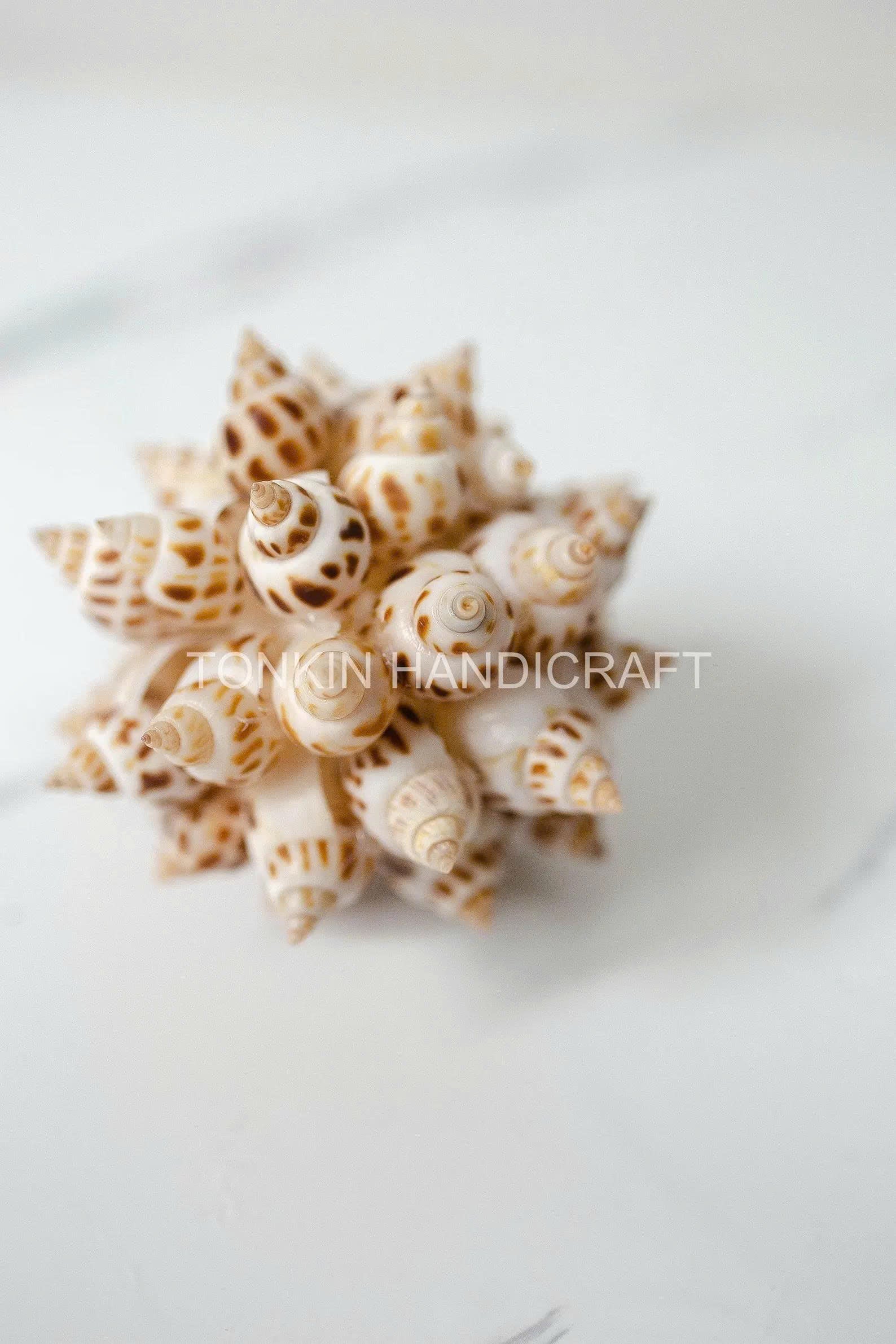 Floral Ark Shell Ball 4