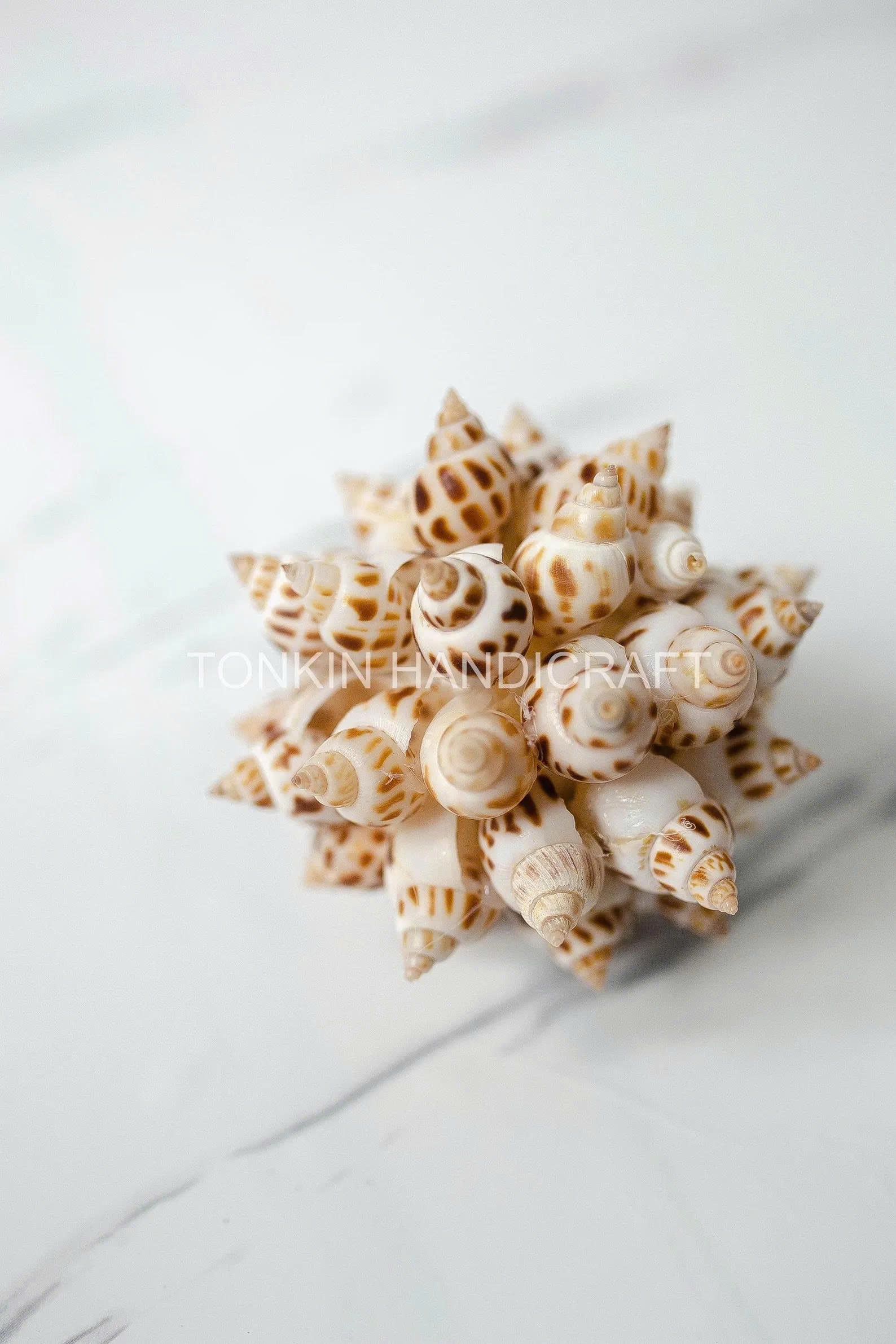 Floral Ark Shell Ball 4