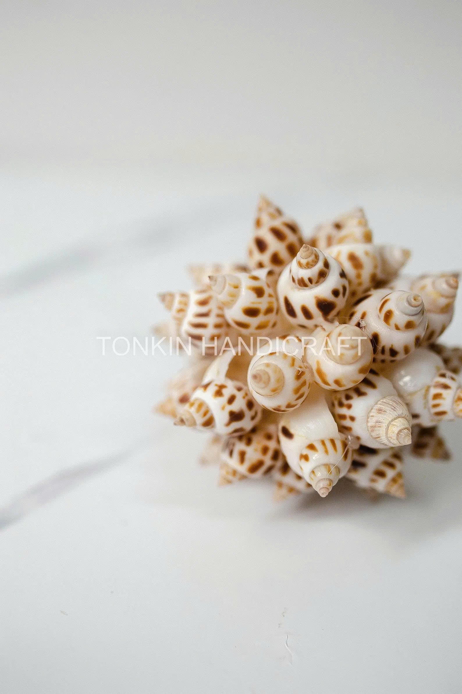 Floral Ark Shell Ball 4