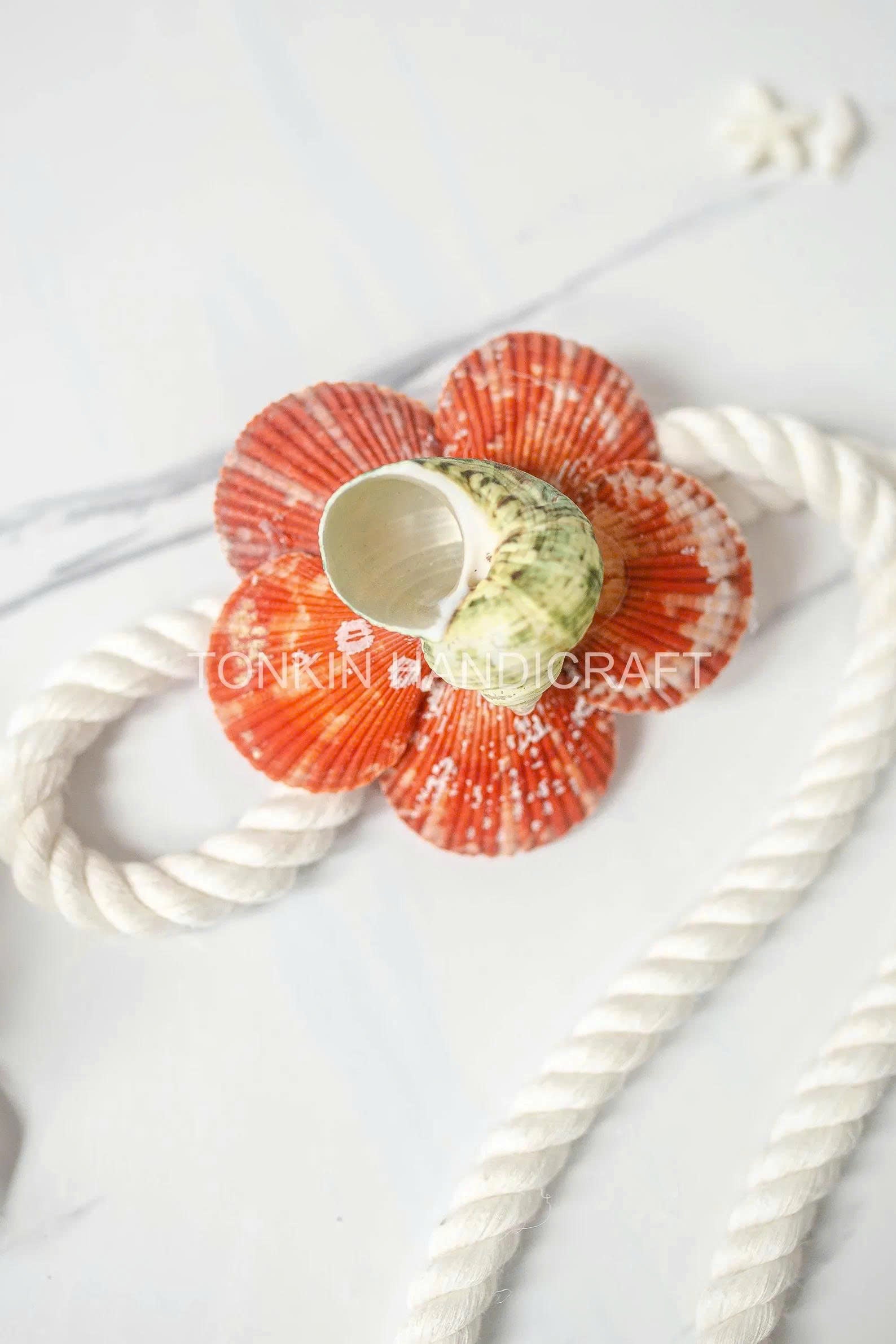 Shell Curtain Tie Backs 5