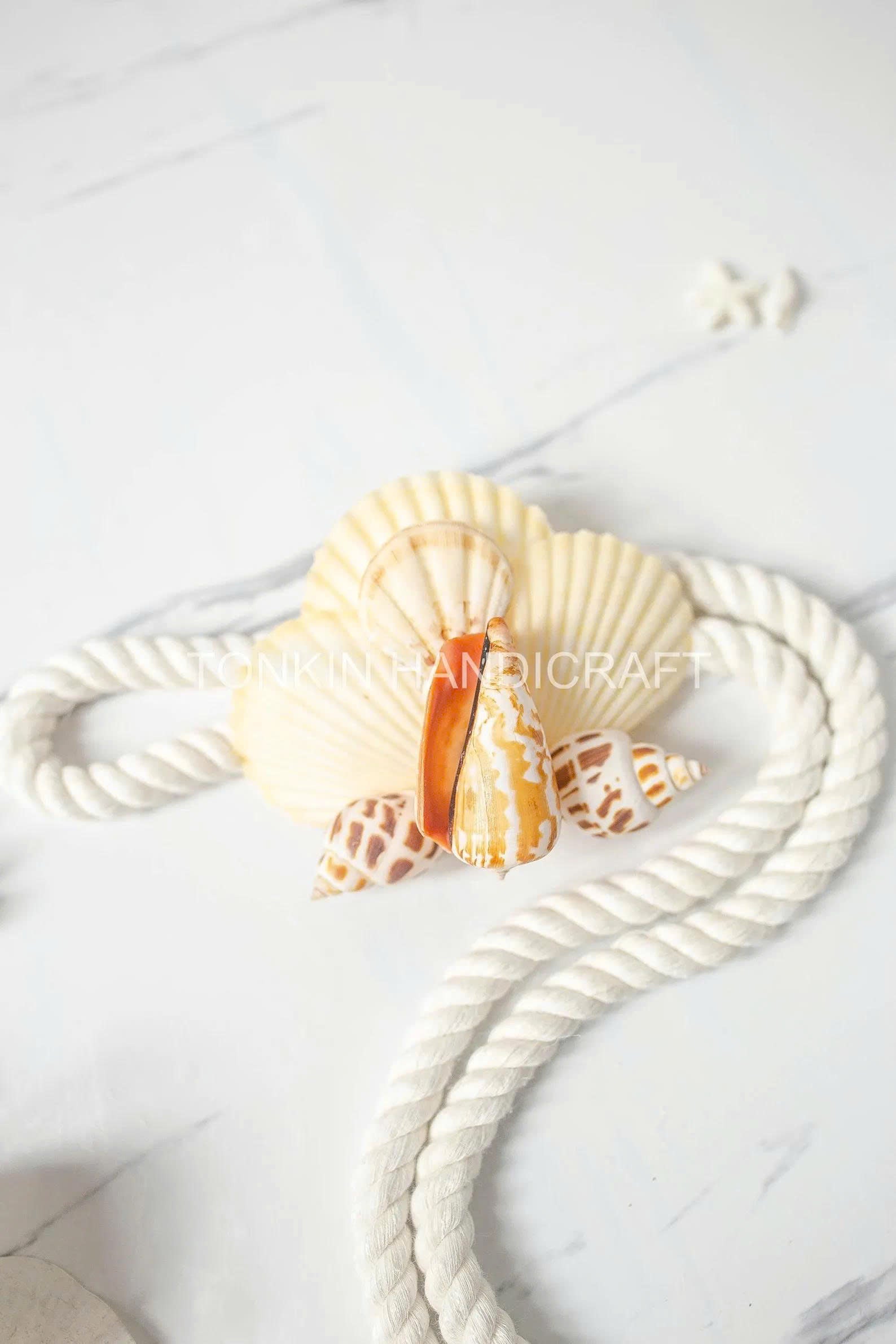 Shell Curtain Tie Backs 7