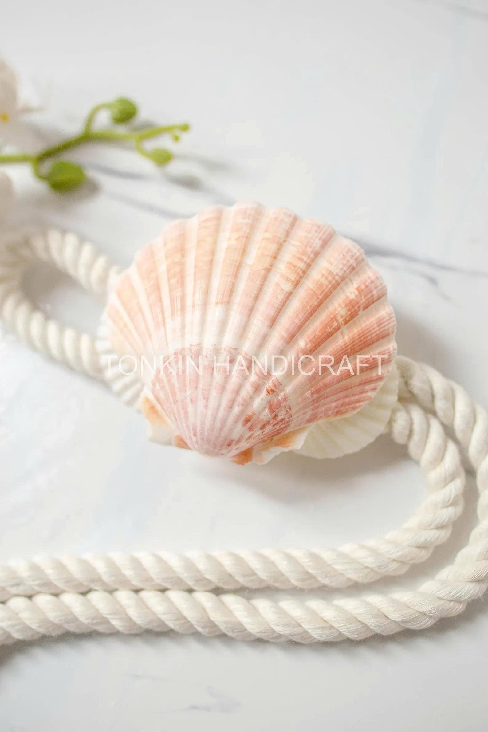 Shell Curtain Tie Backs 12