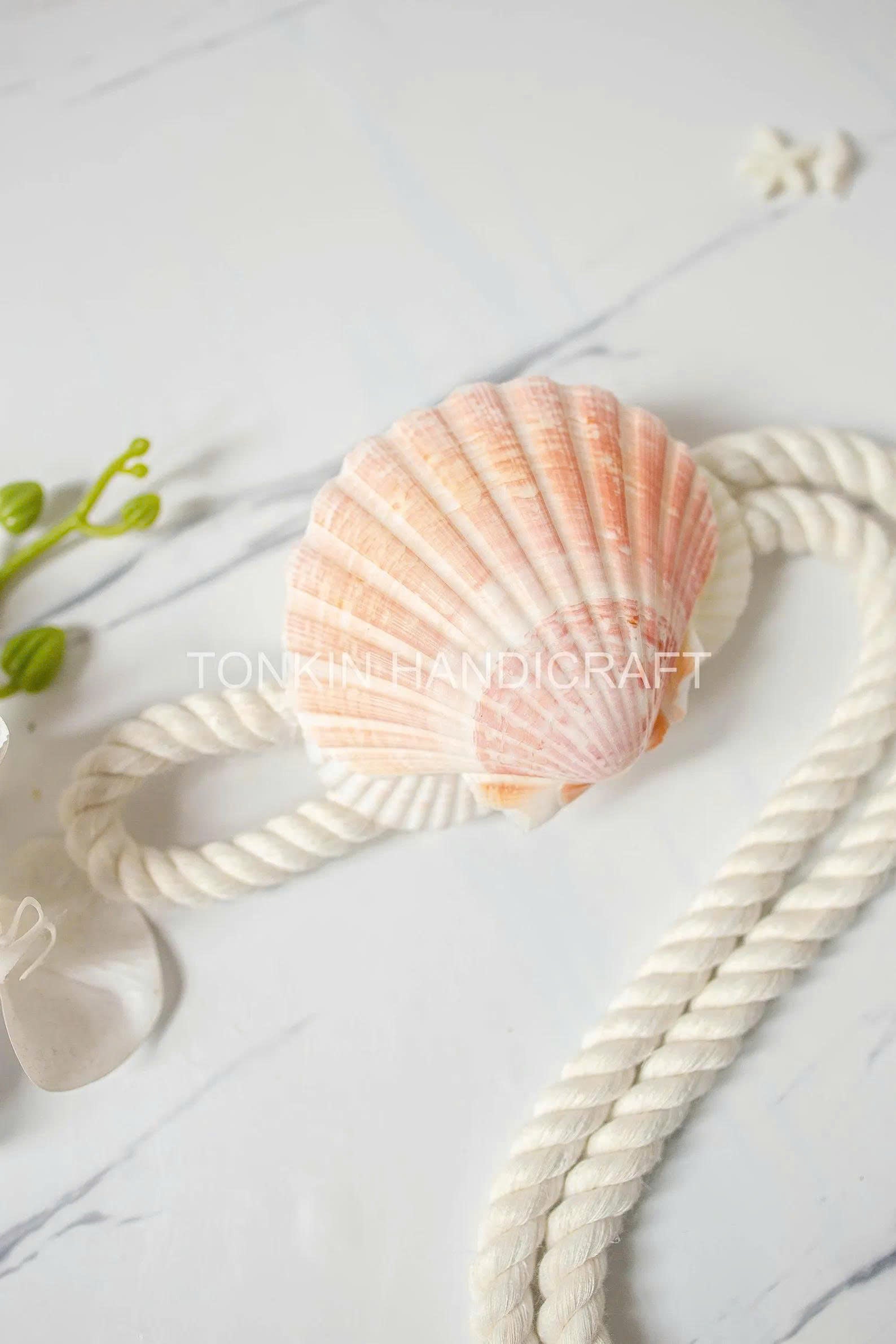 Shell Curtain Tie Backs 12