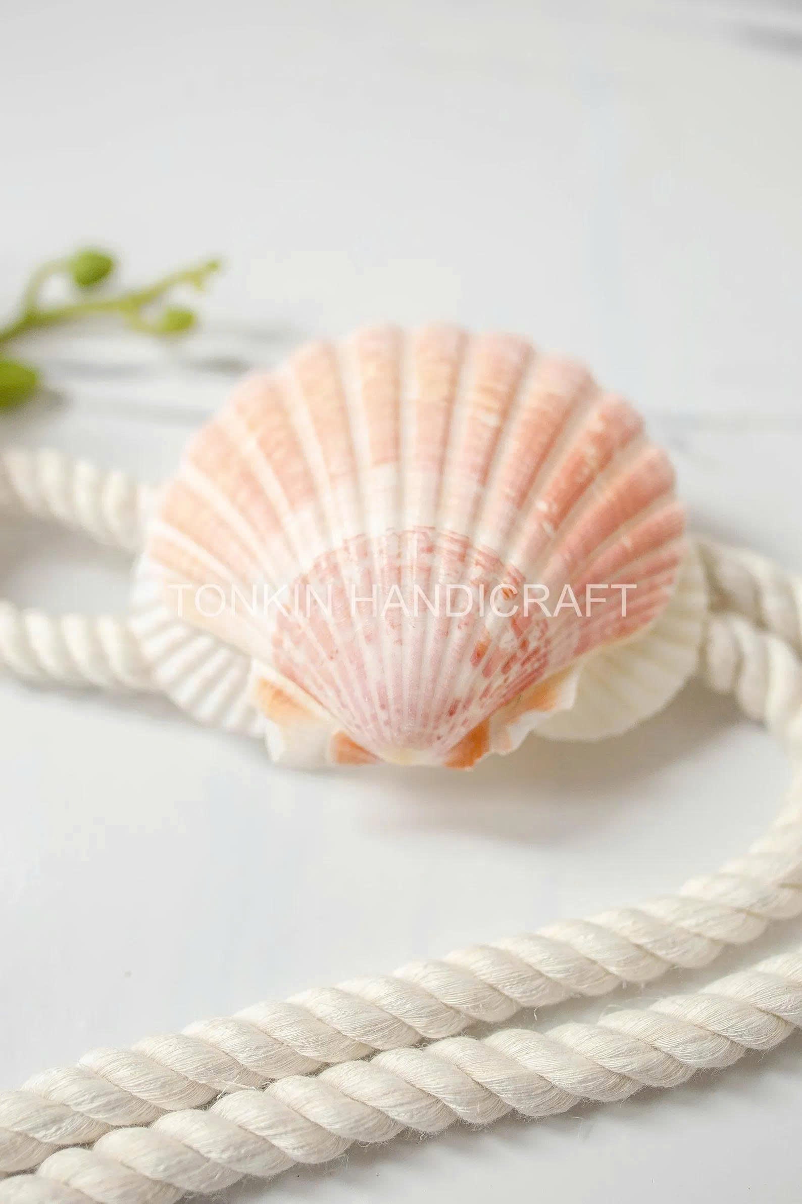 Shell Curtain Tie Backs 12