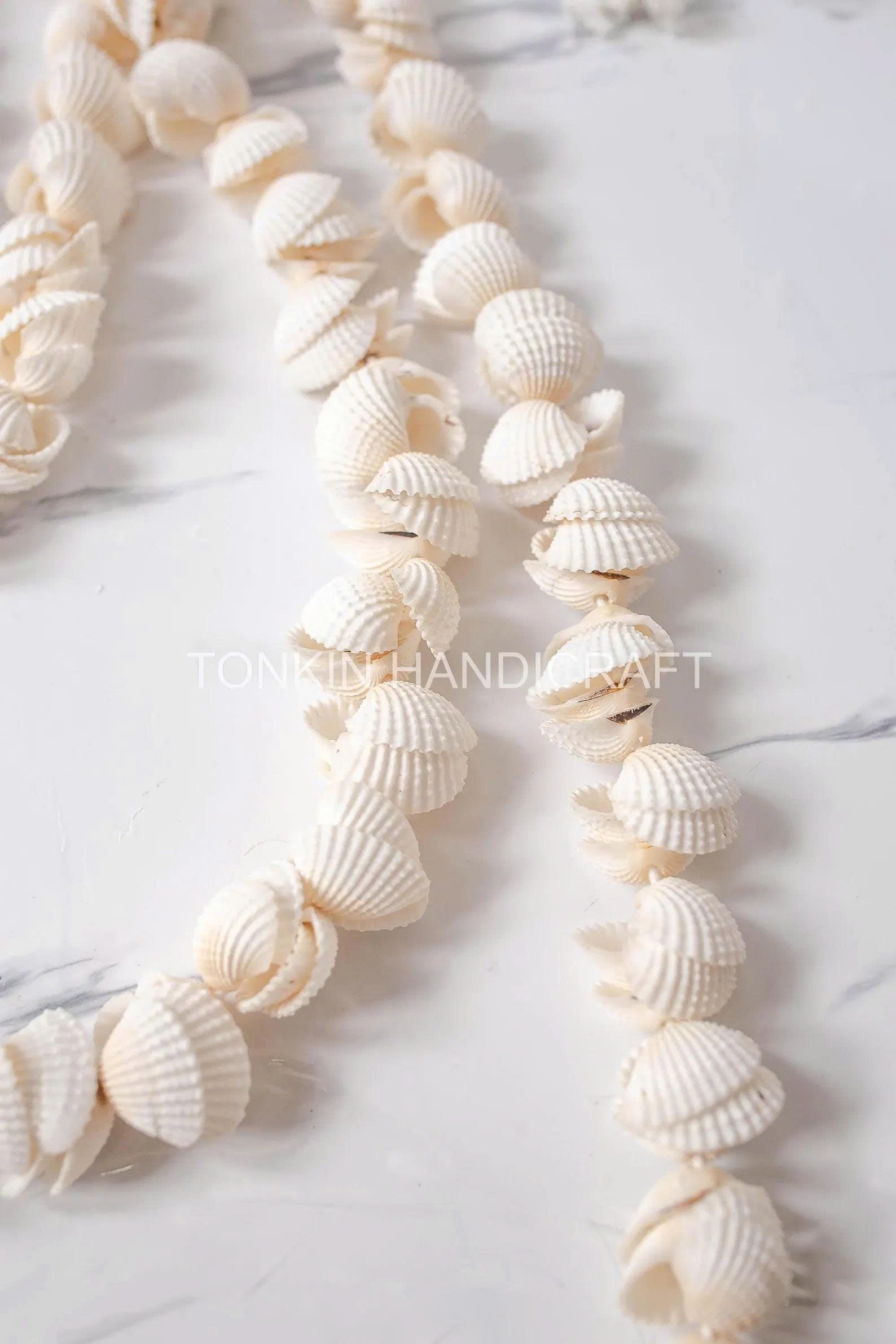 Shell Wall Hanging 4