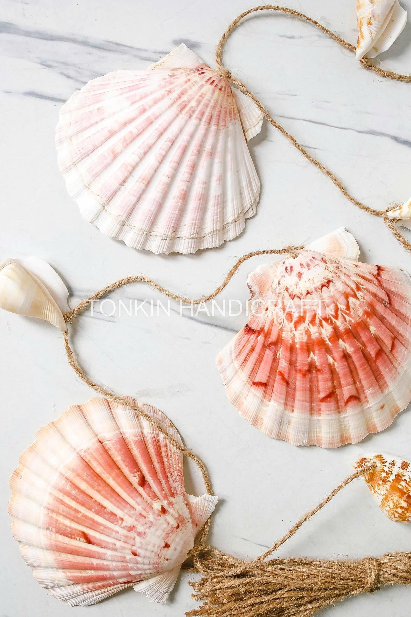 Shell Beach Garland 1