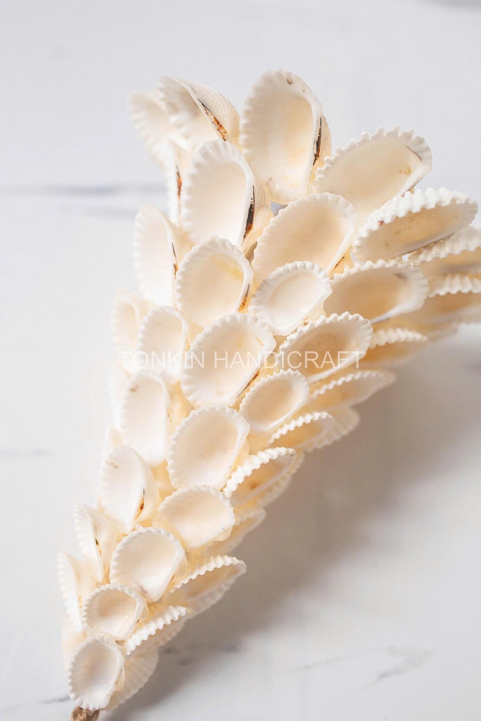 Seashell Christmas Tree 1