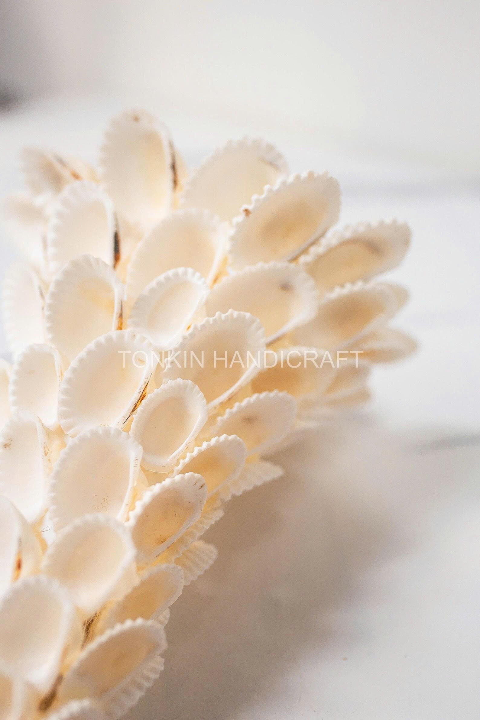 Seashell Christmas Tree 1