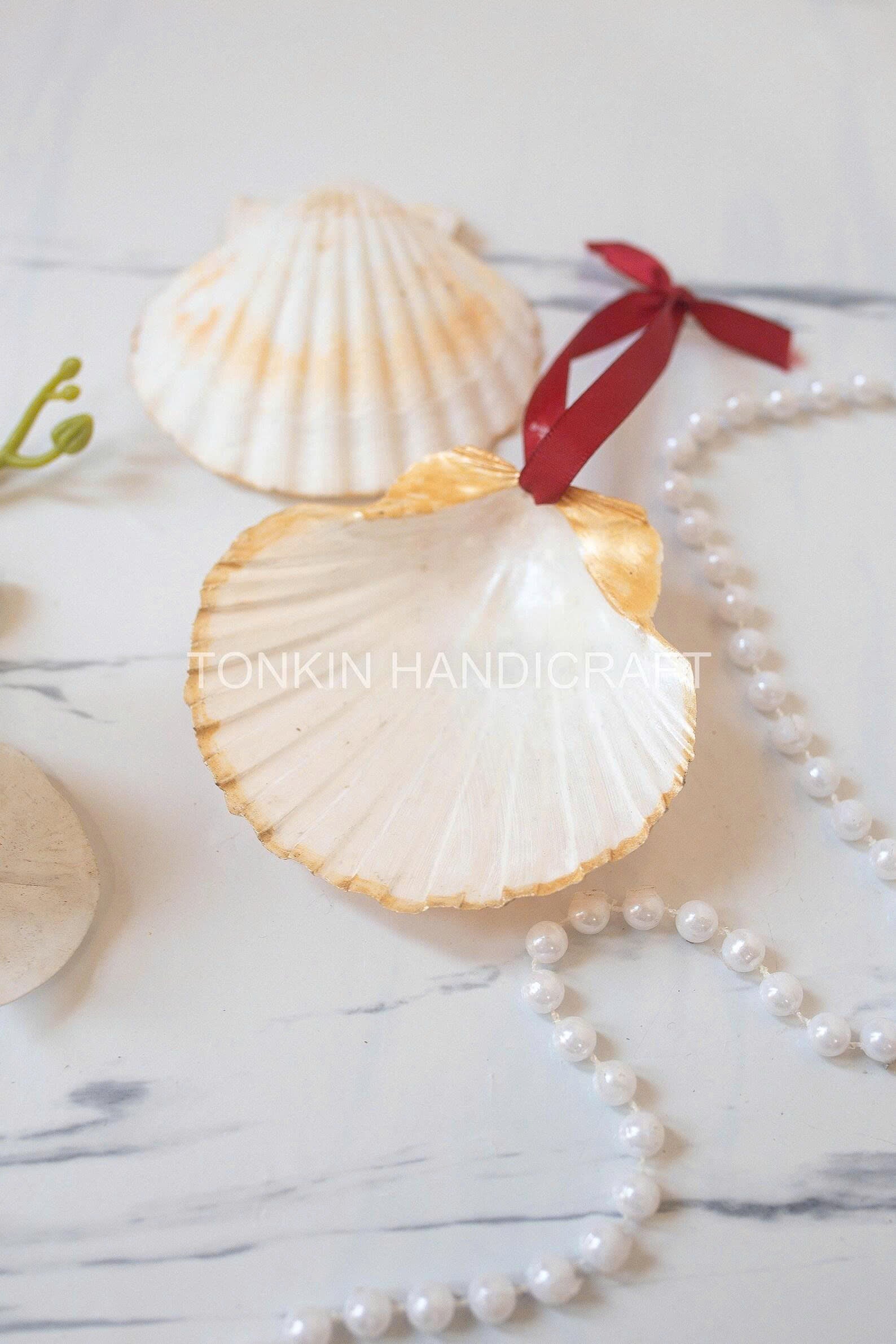 Scalloped Shell Ornamen 1