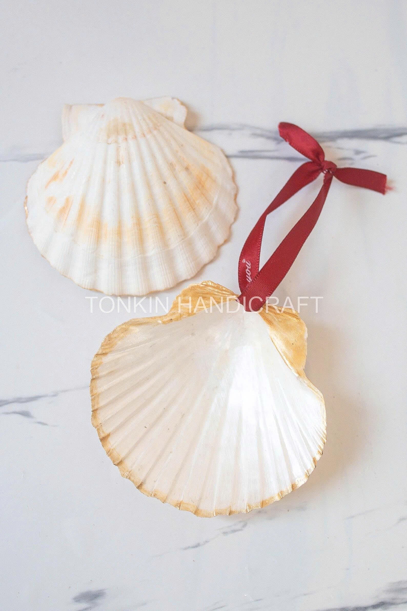 Scalloped Shell Ornamen 1