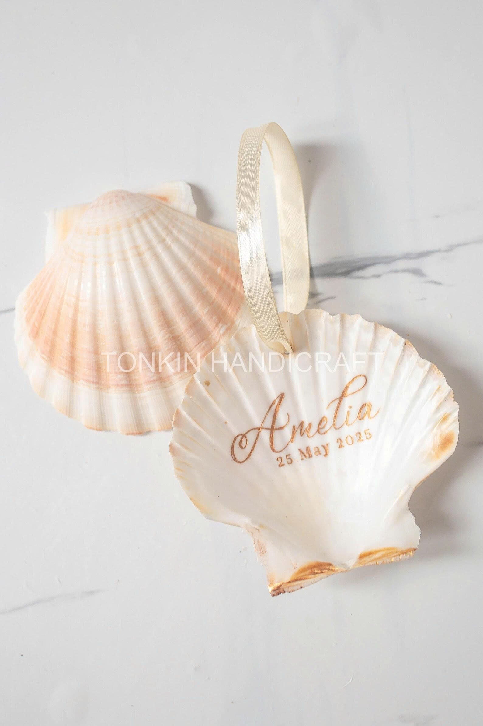 Scalloped Shell Ornamen 1
