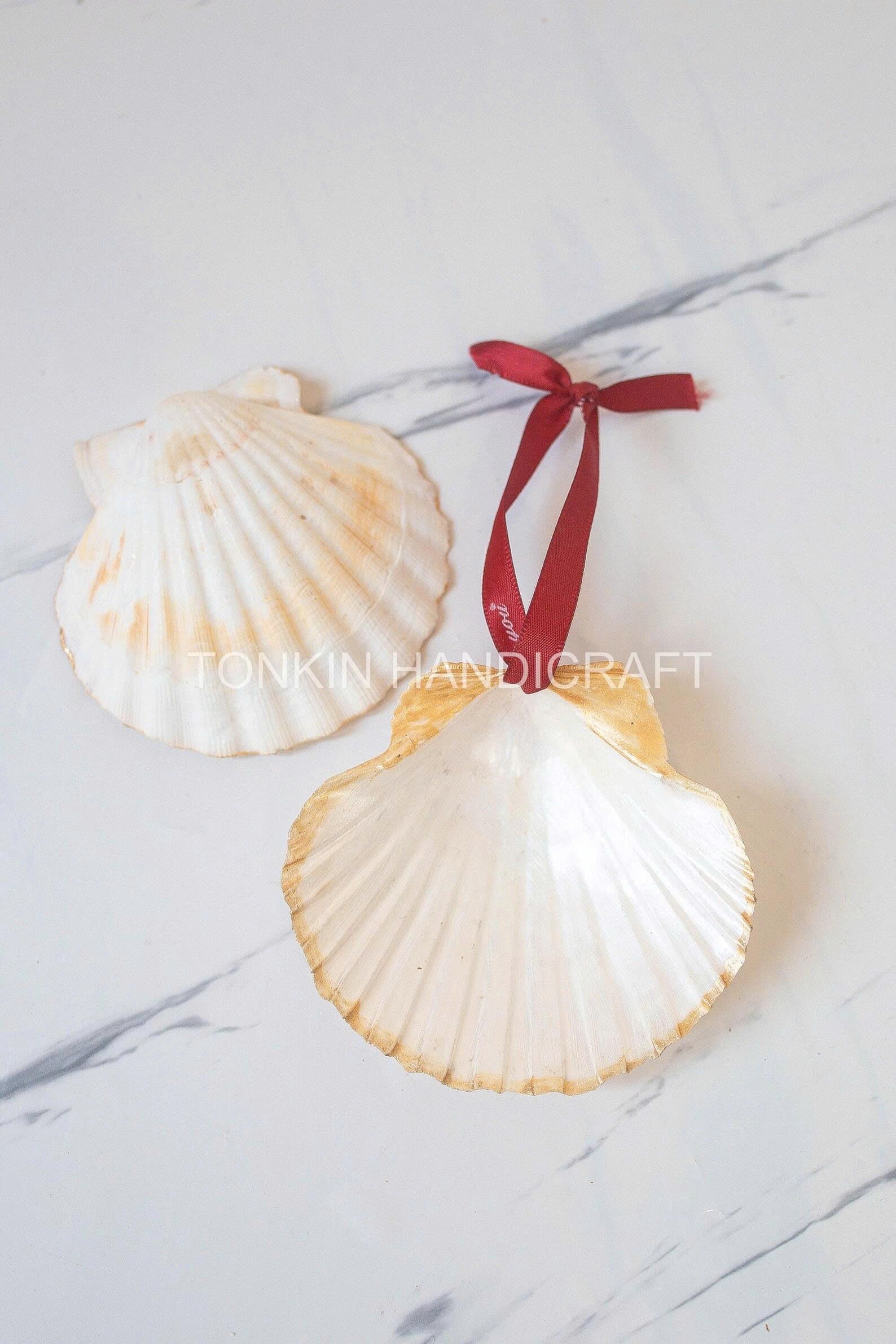 Scalloped Shell Ornamen 1