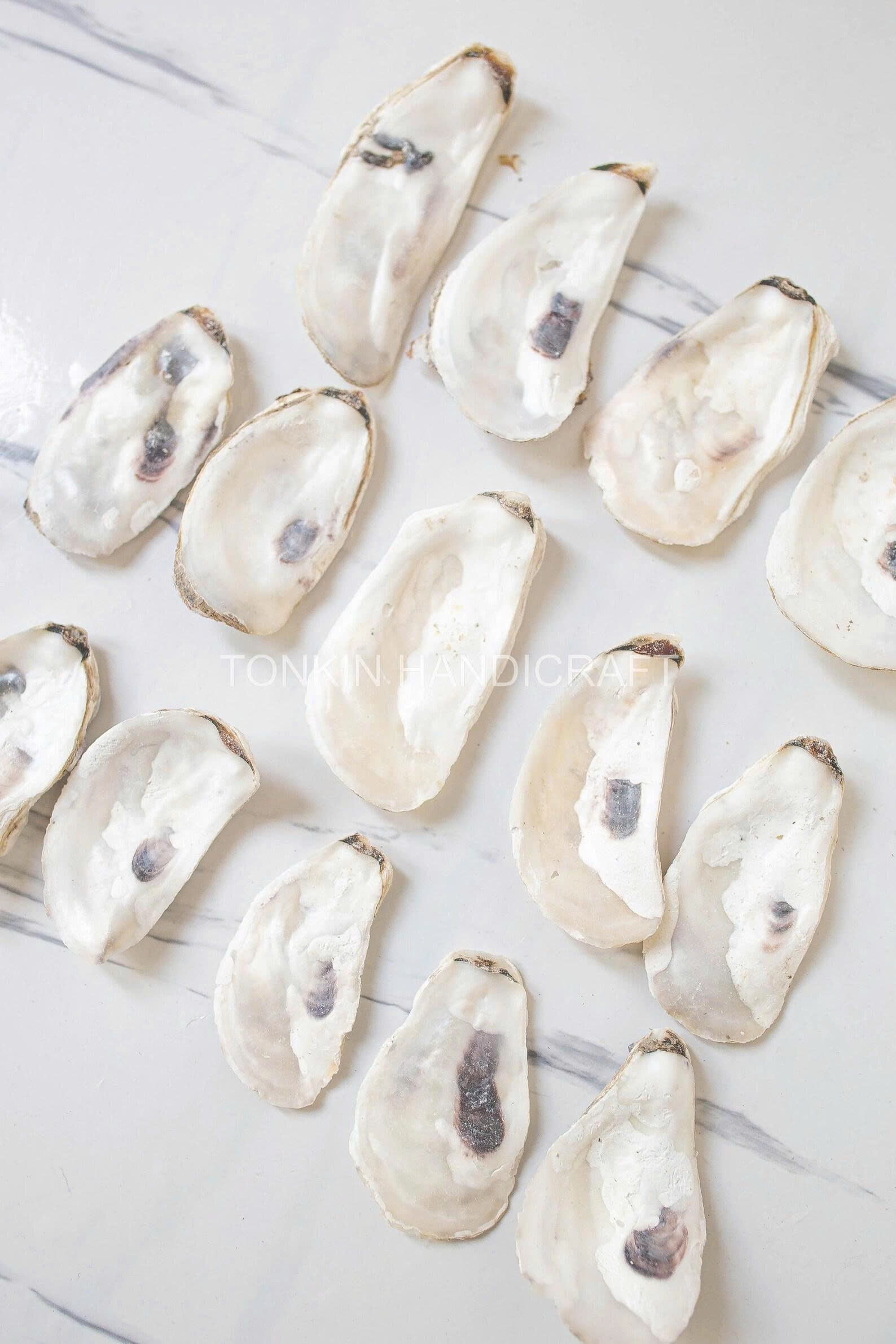 Bulk Flat Oyster Shell