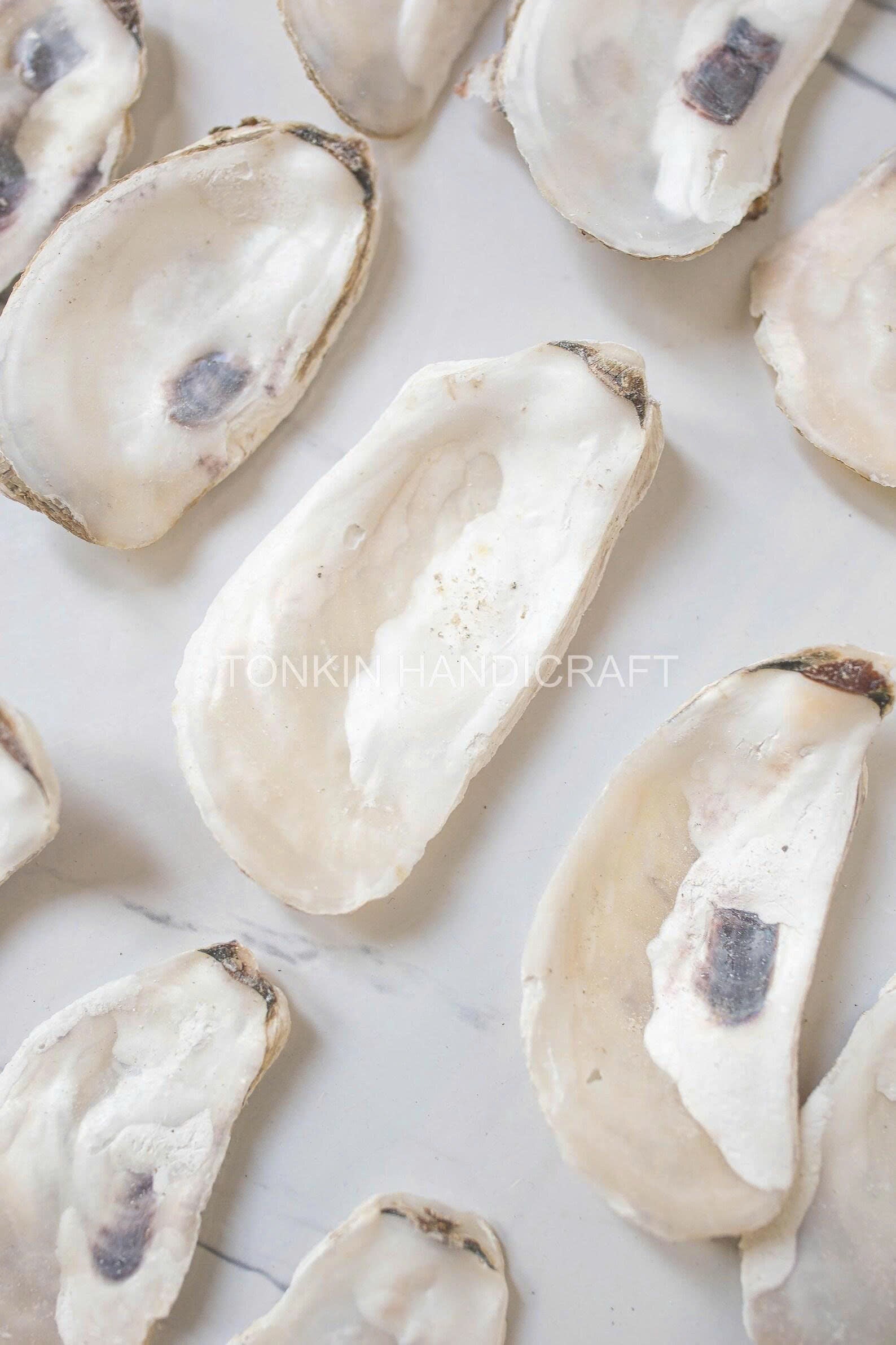 Bulk Flat Oyster Shell