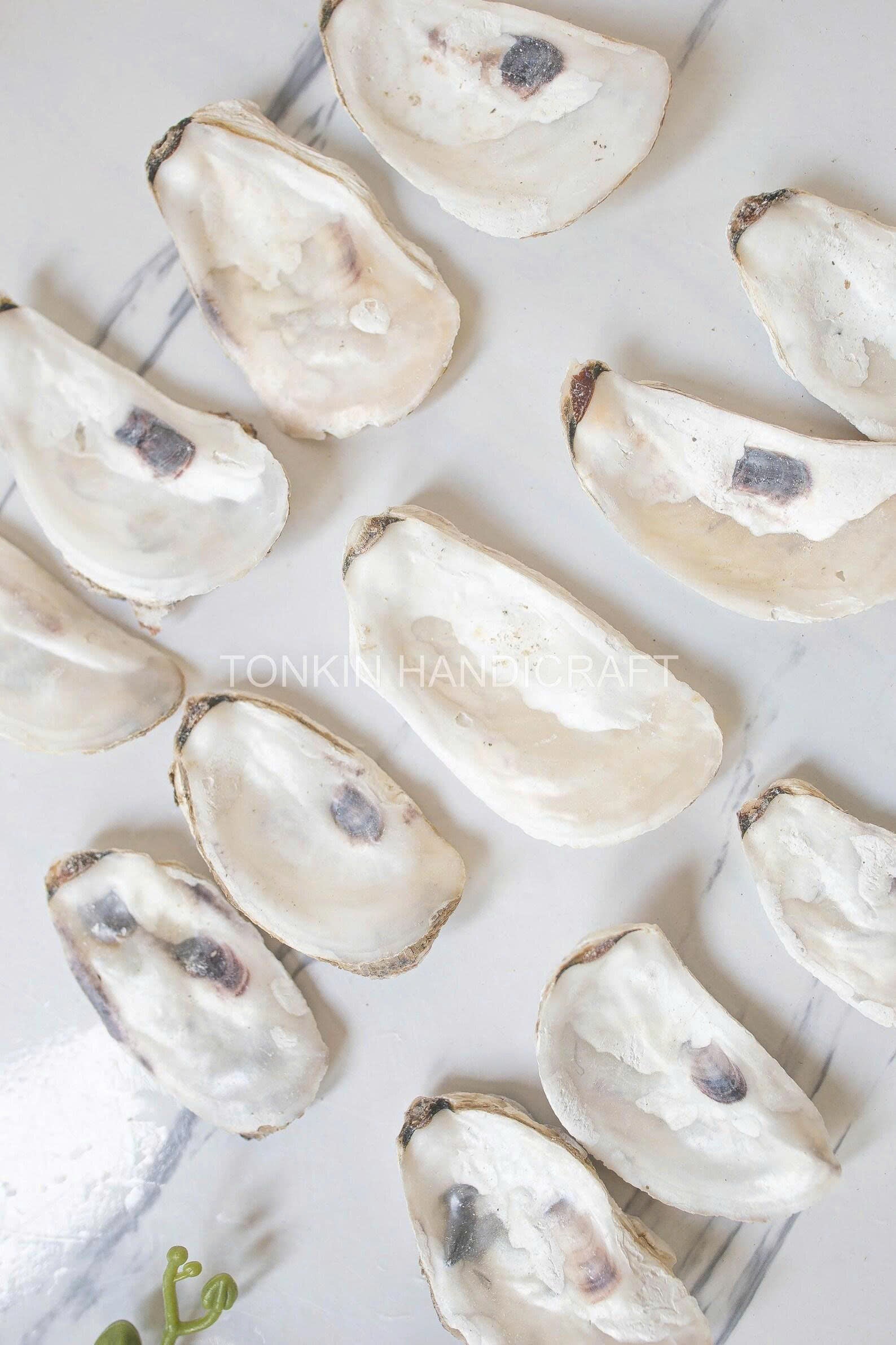 Bulk Flat Oyster Shell