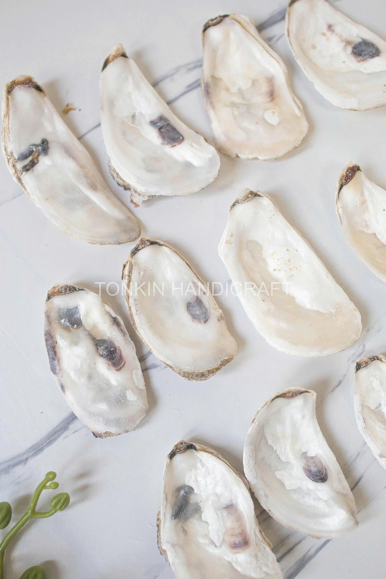 Bulk Flat Oyster Shell
