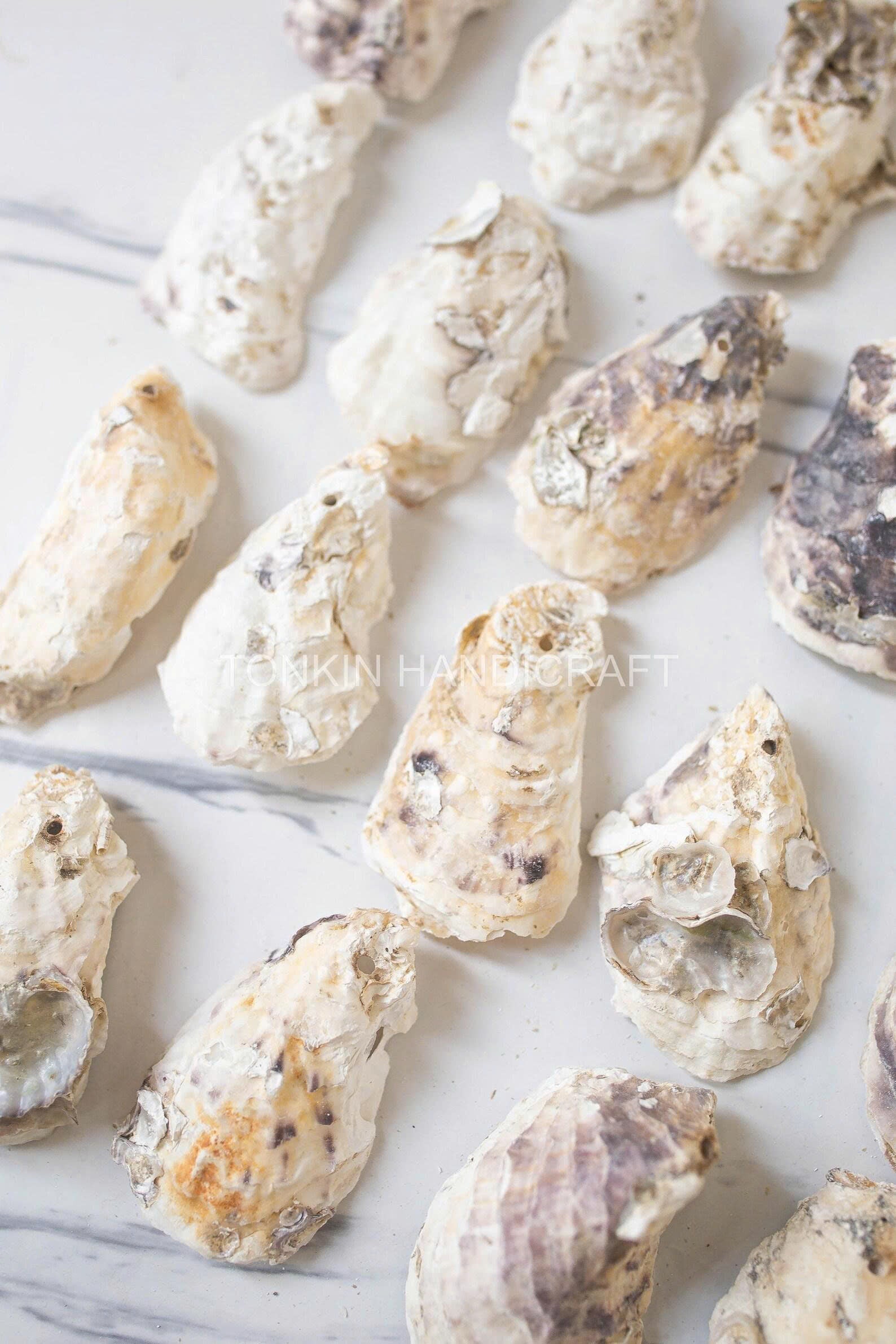 Bulk Oyster Shell