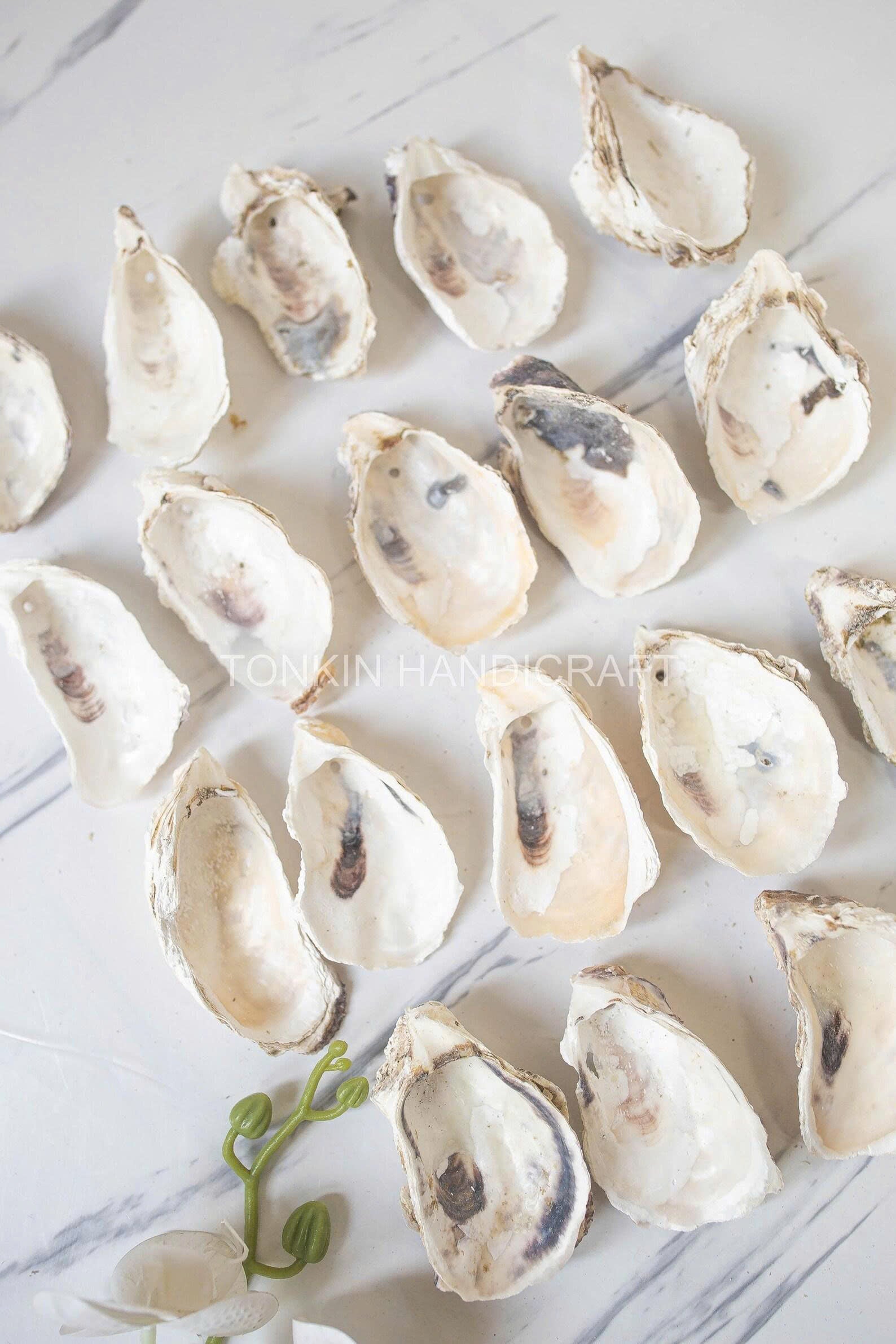 Bulk Oyster Shell
