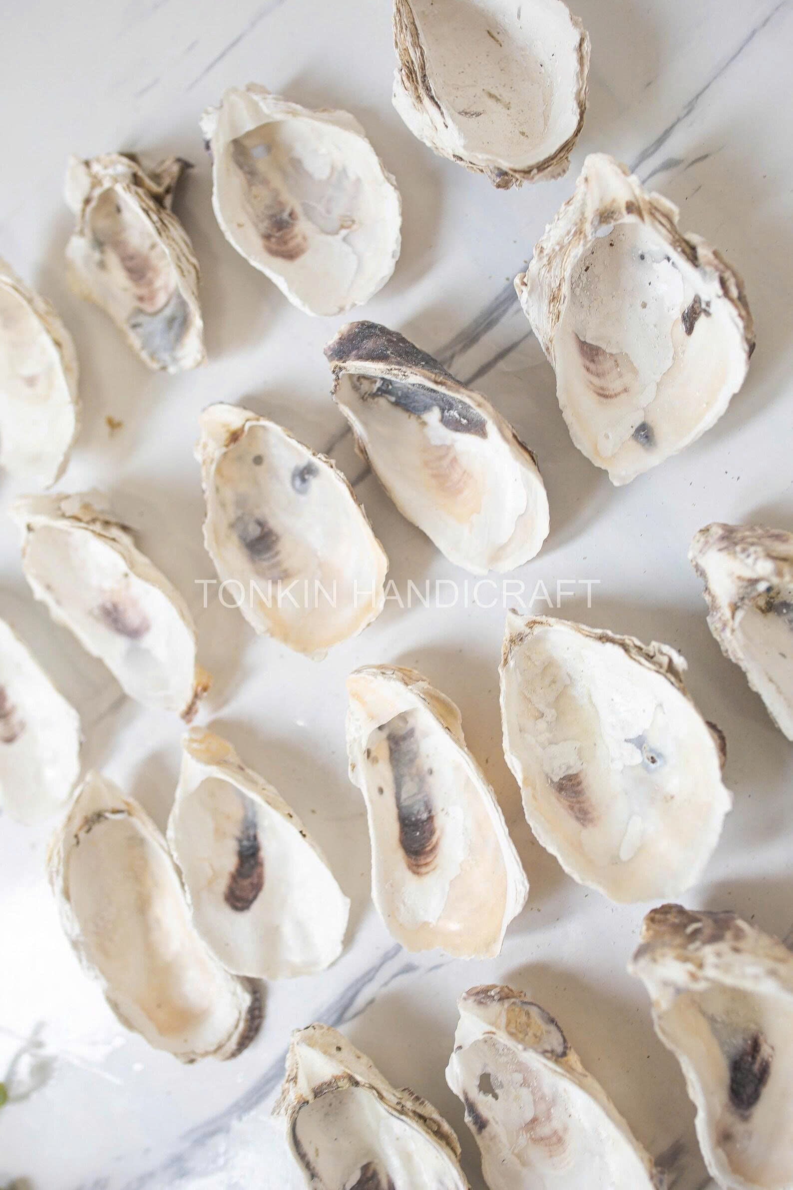 Bulk Oyster Shell