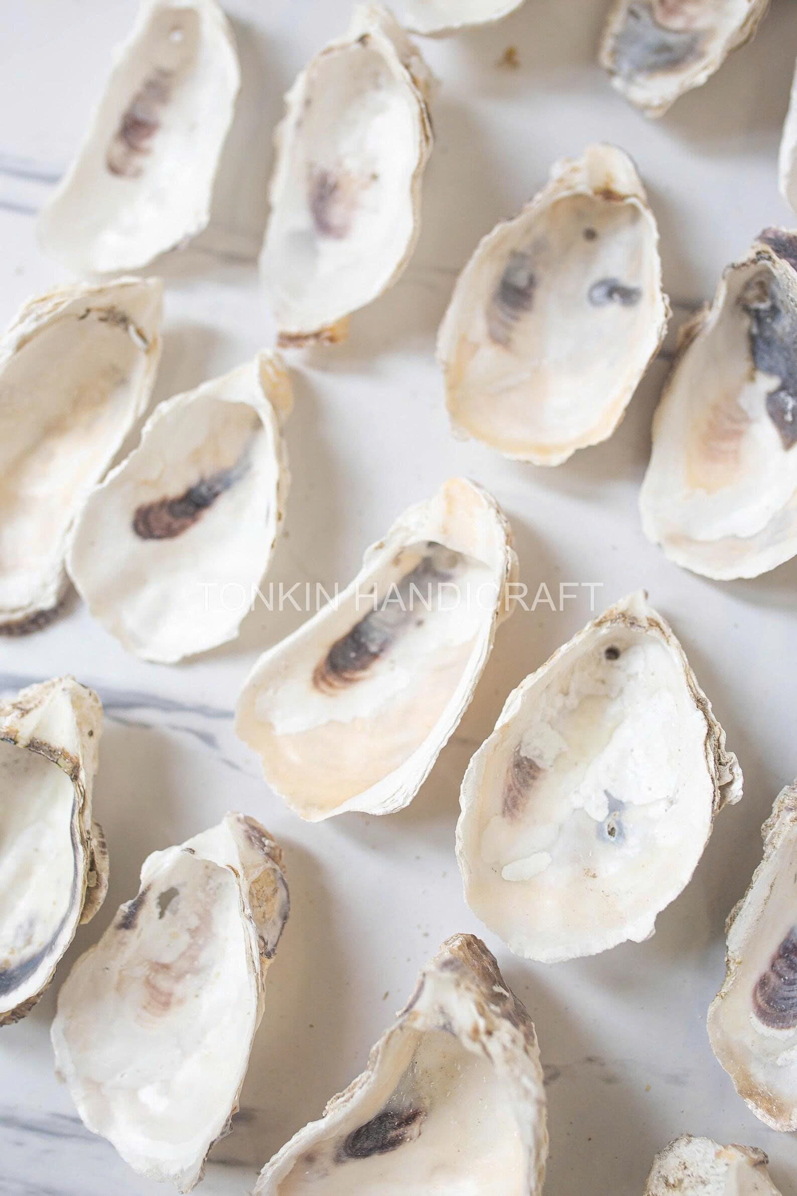 Bulk Oyster Shell