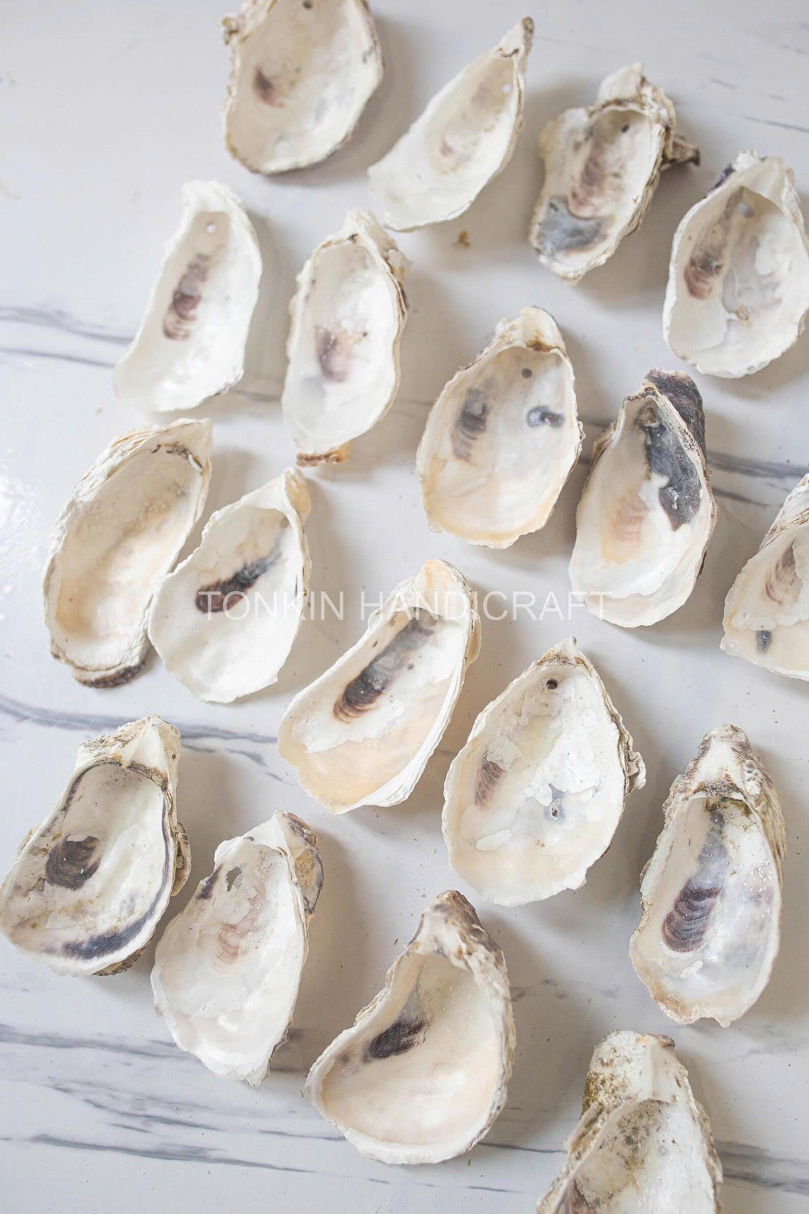 Bulk Oyster Shell