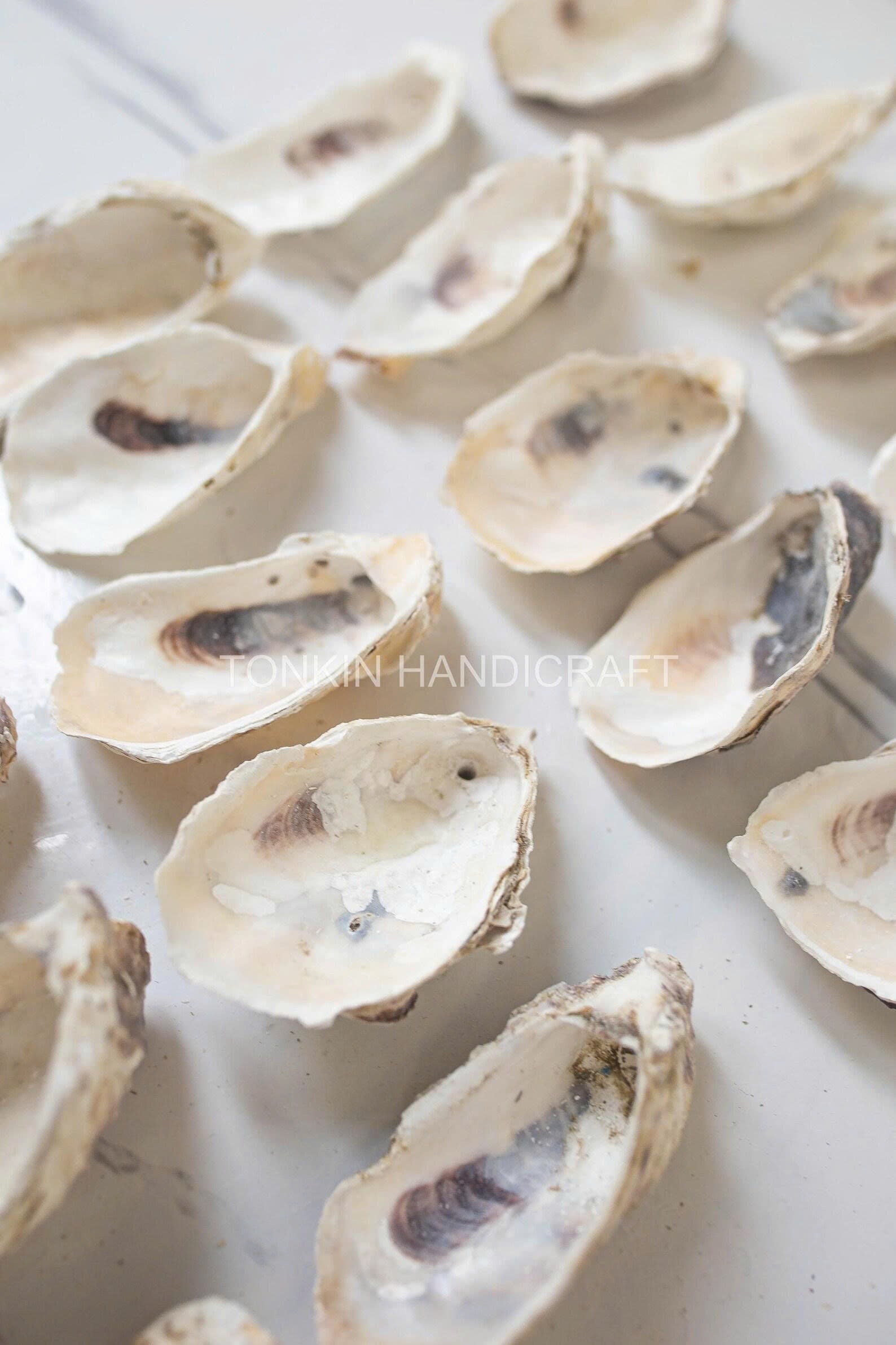 Bulk Oyster Shell