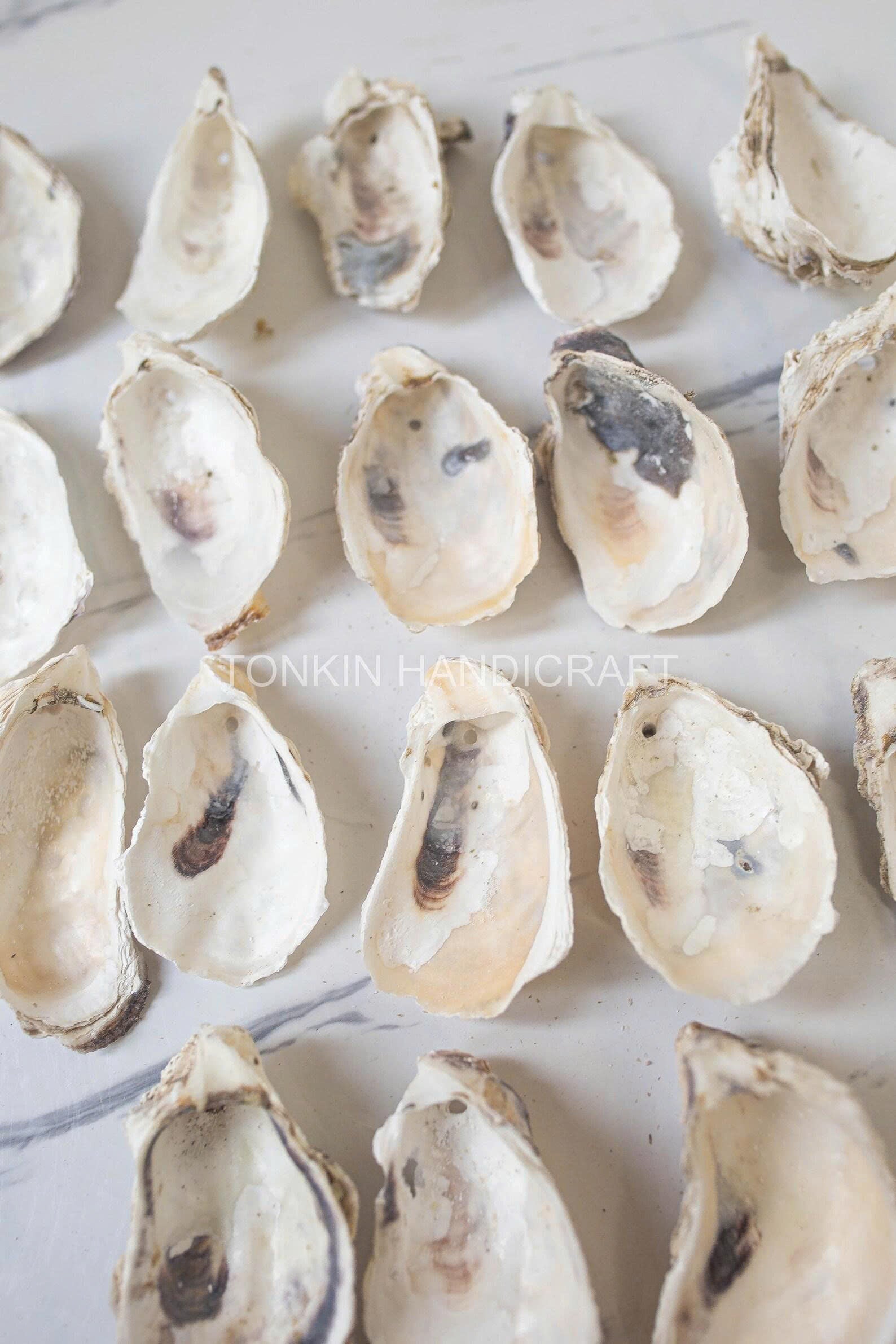 Bulk Oyster Shell
