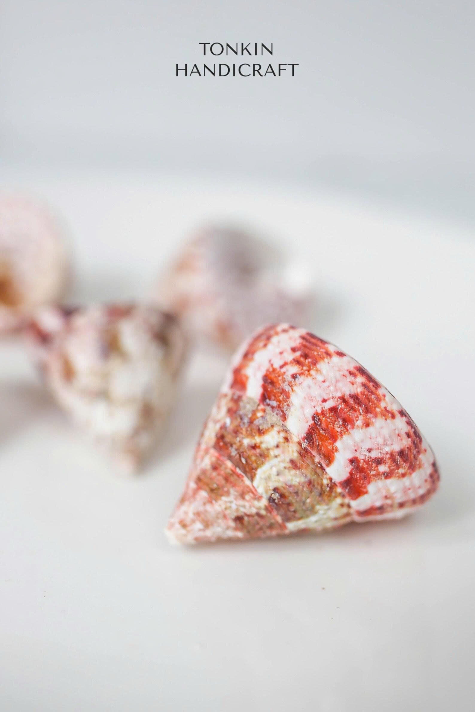 Bulk Tapestry Turban Shells Craft