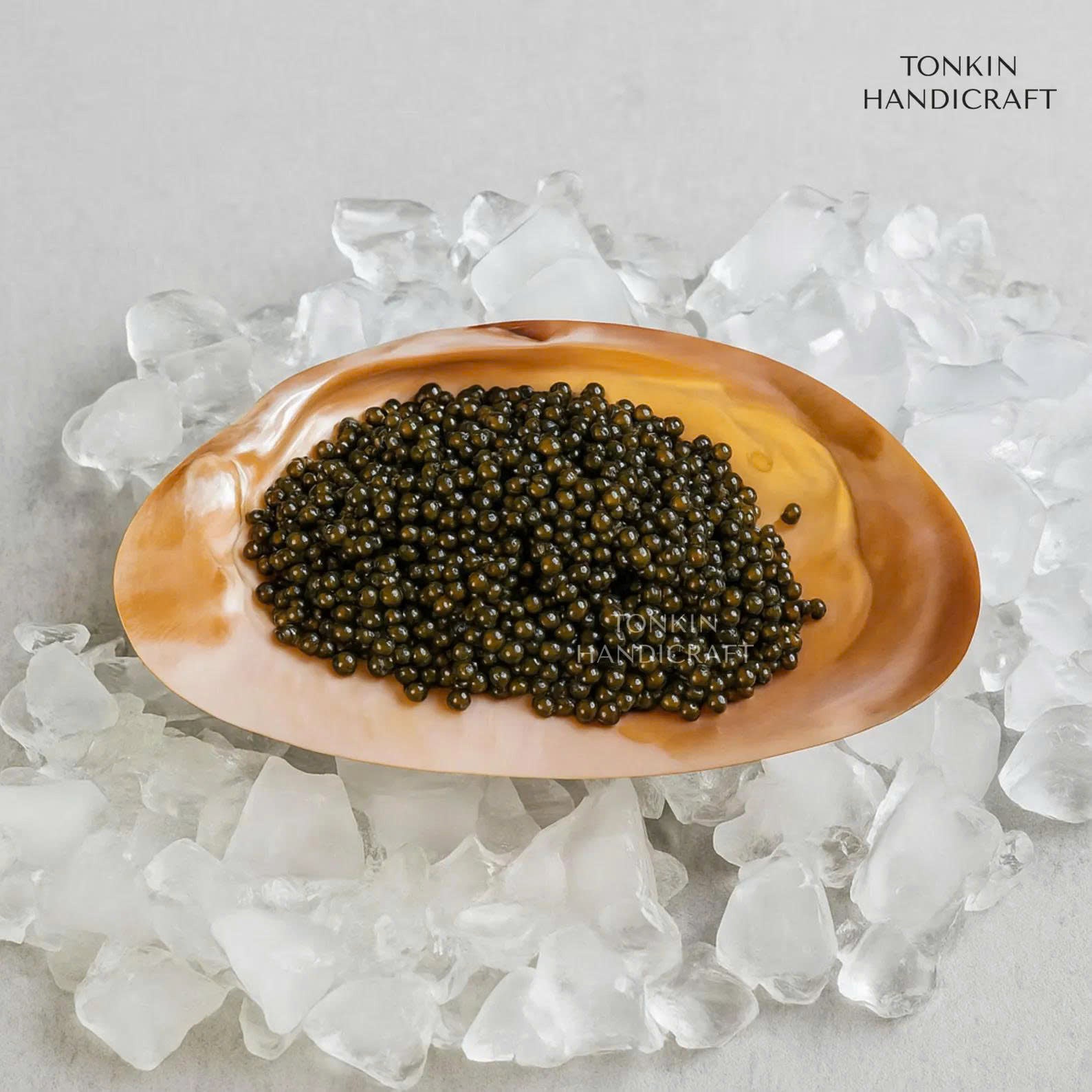 Mother of Pearl Medium Seashell Plate