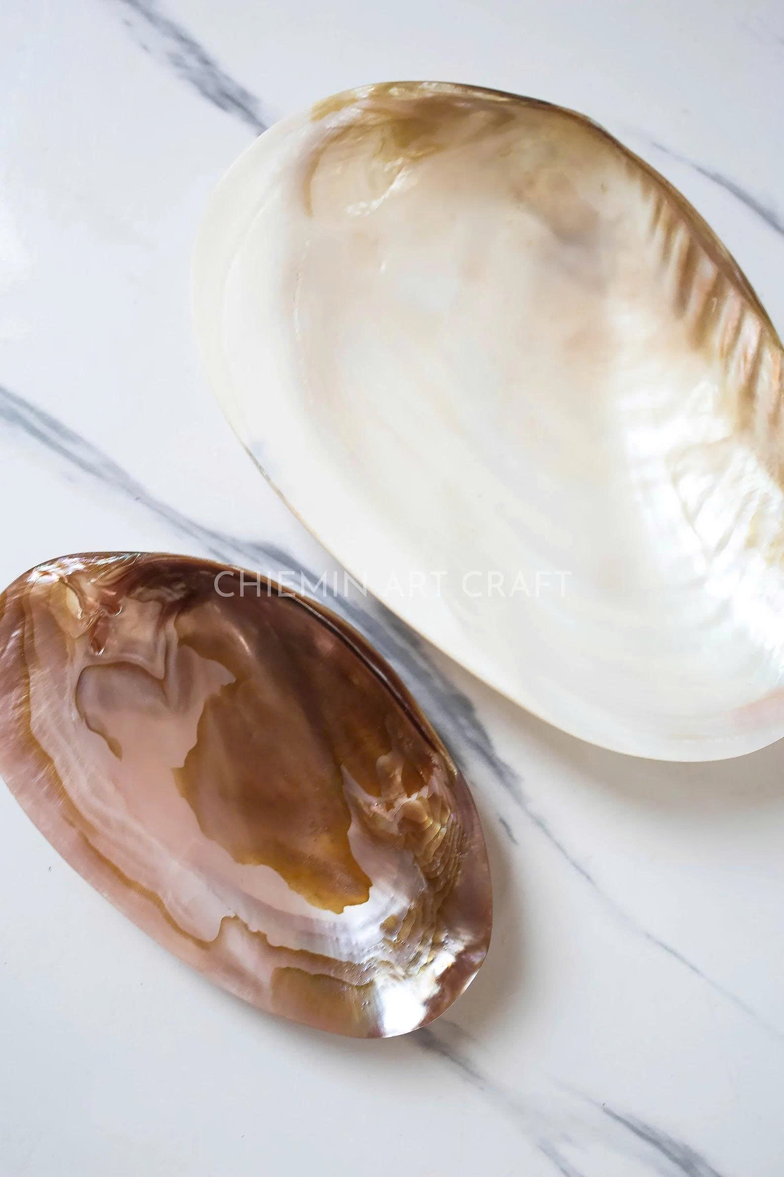 Mother of Pearl Medium Seashell Plate