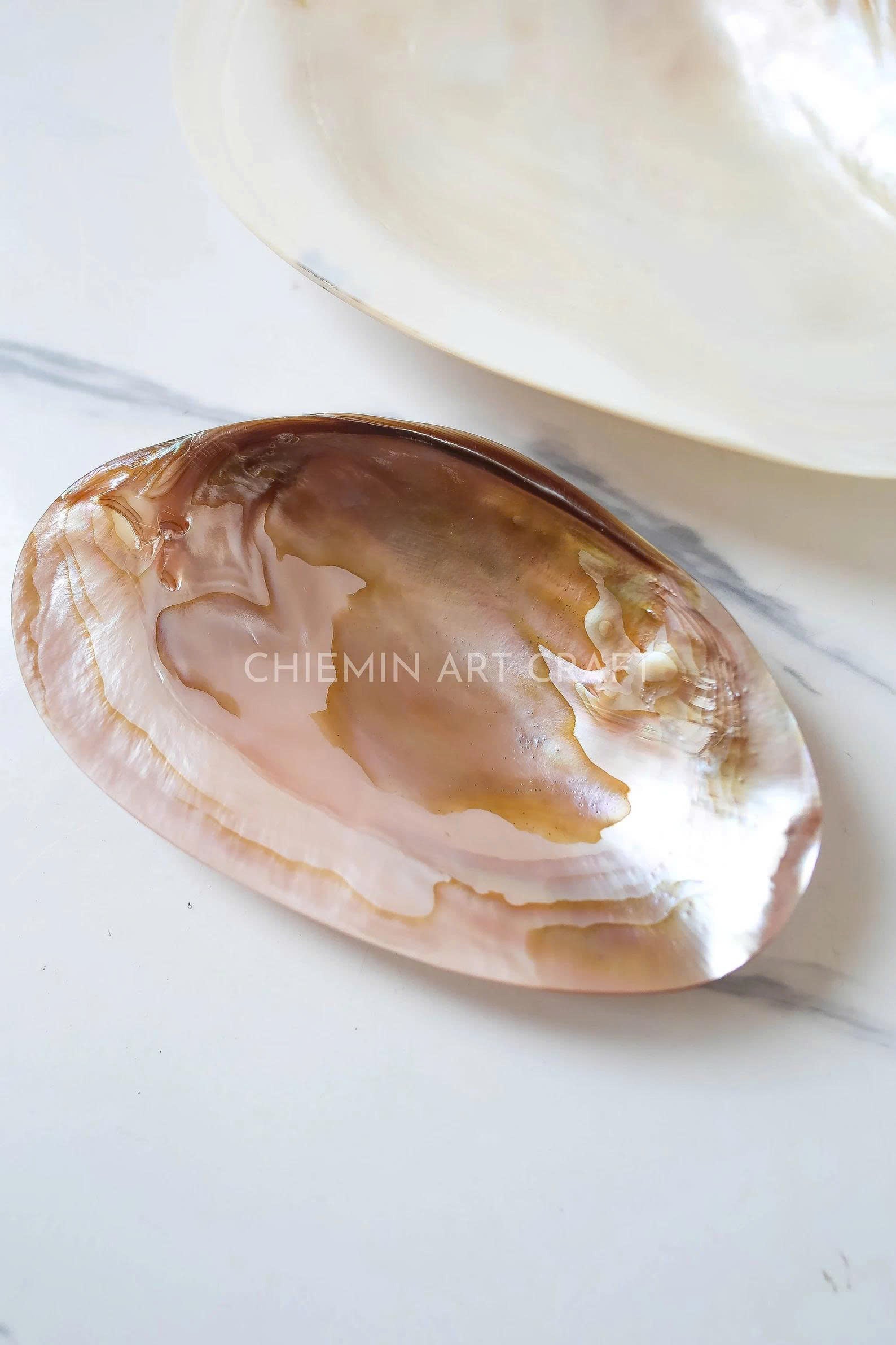 Mother of Pearl Medium Seashell Plate