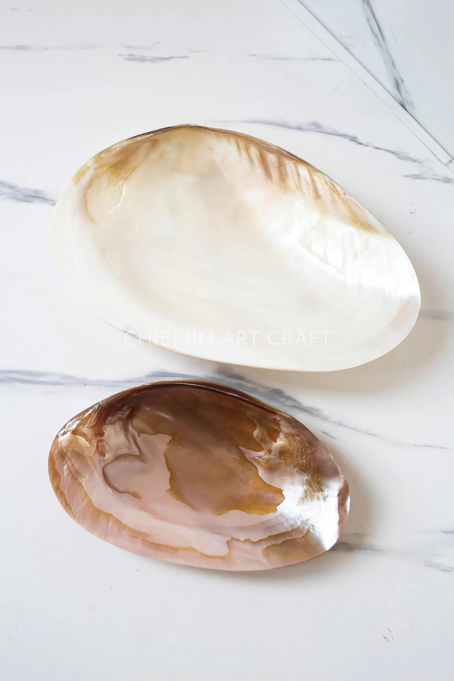 Mother of Pearl Medium Seashell Plate