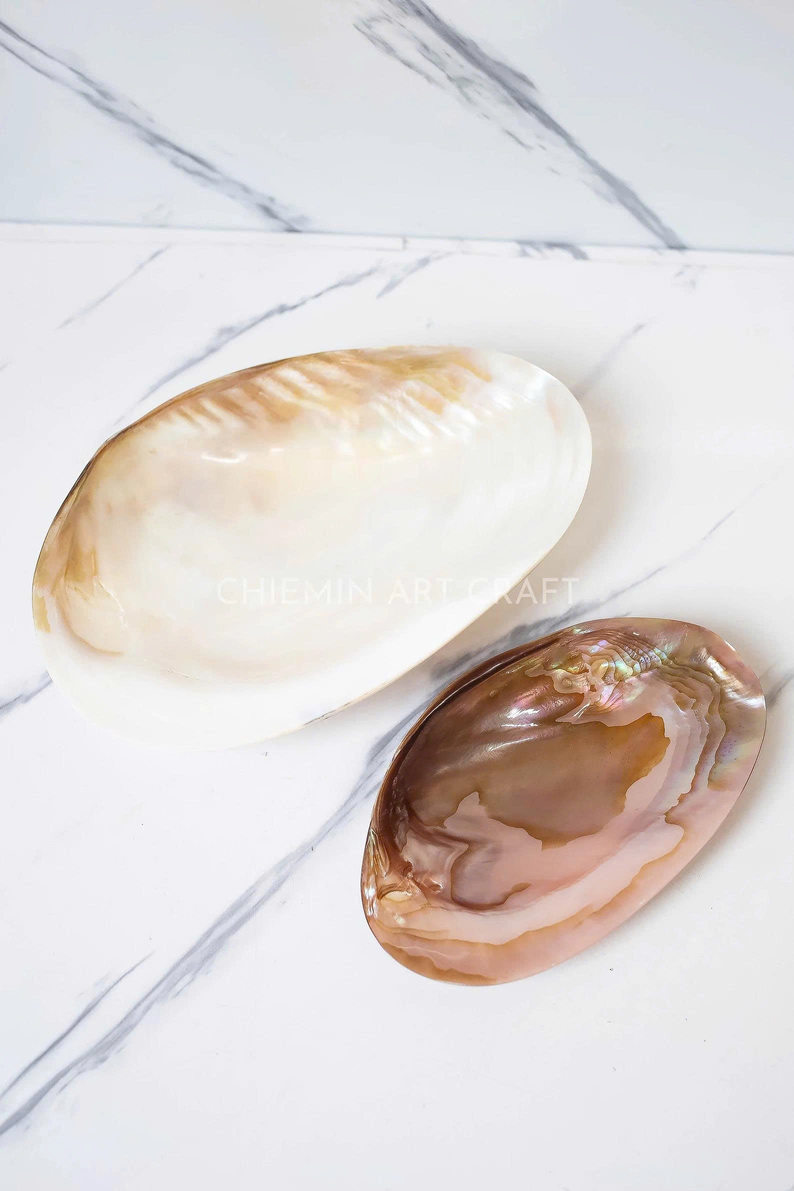 Mother of Pearl Medium Seashell Plate