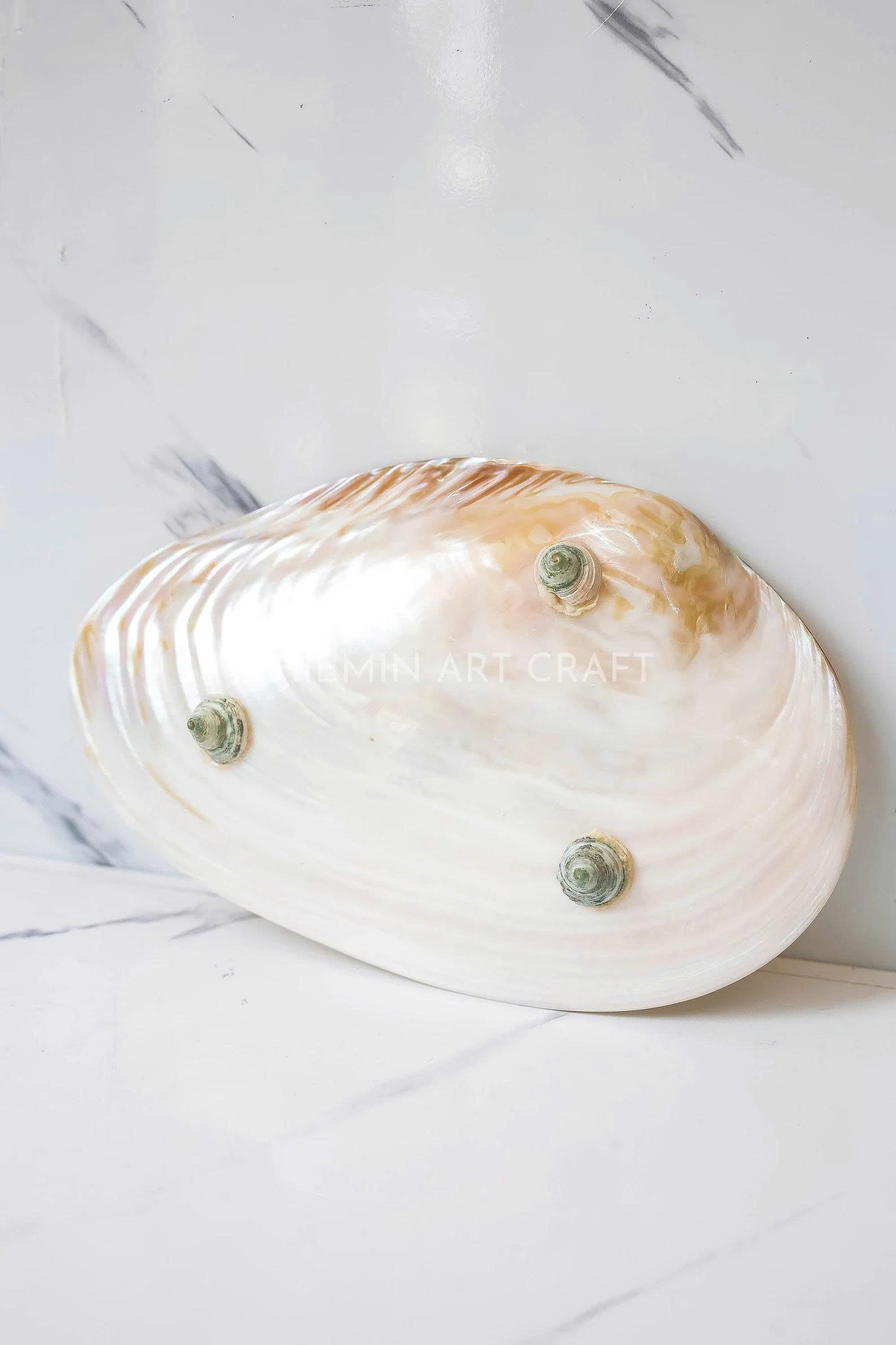 Mother of Pearl Medium Seashell Plate