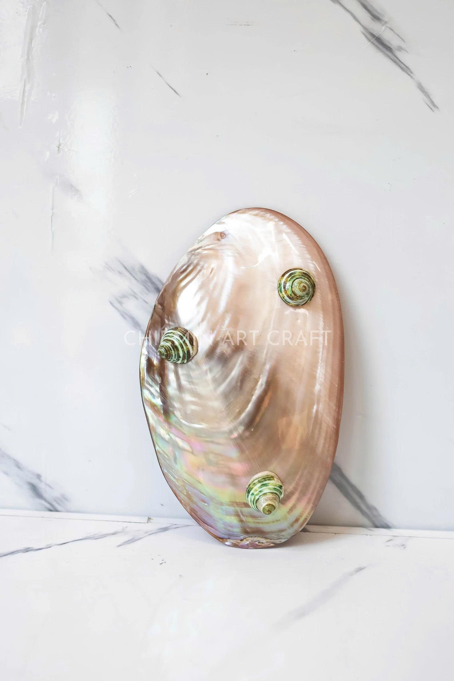Mother of Pearl Medium Seashell Plate
