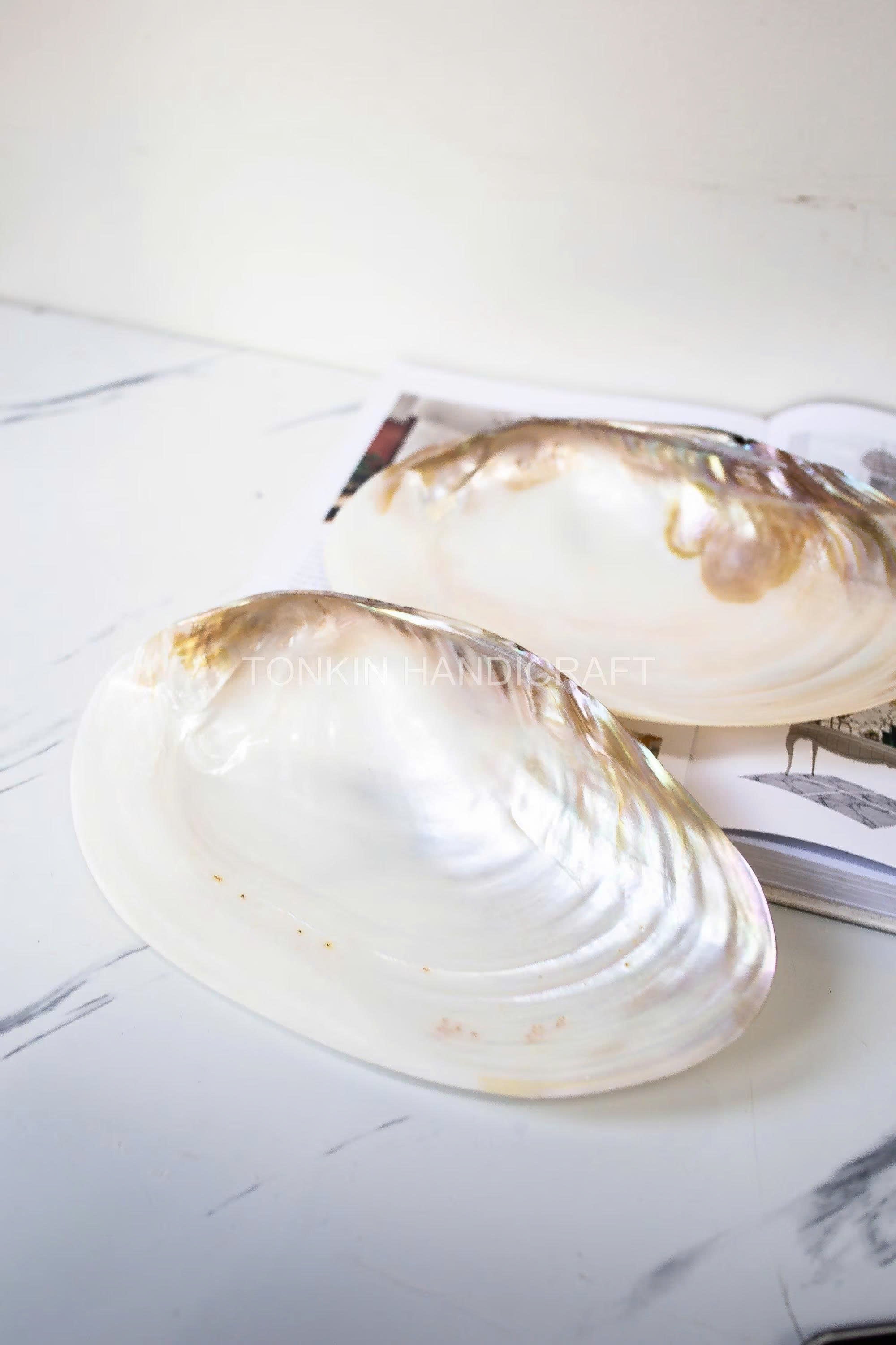 Mother of Pearl Medium Seashell Plate