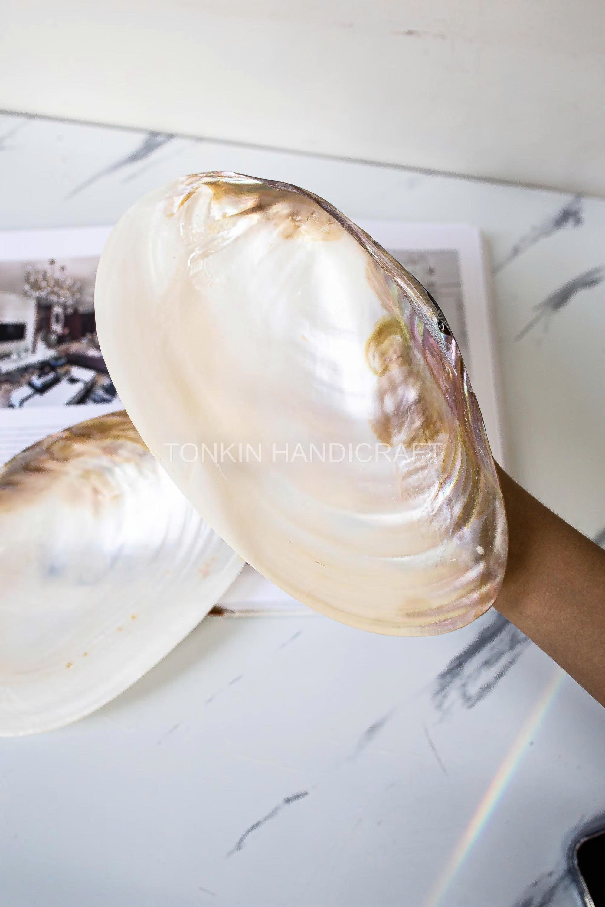 Mother of Pearl Medium Seashell Plate