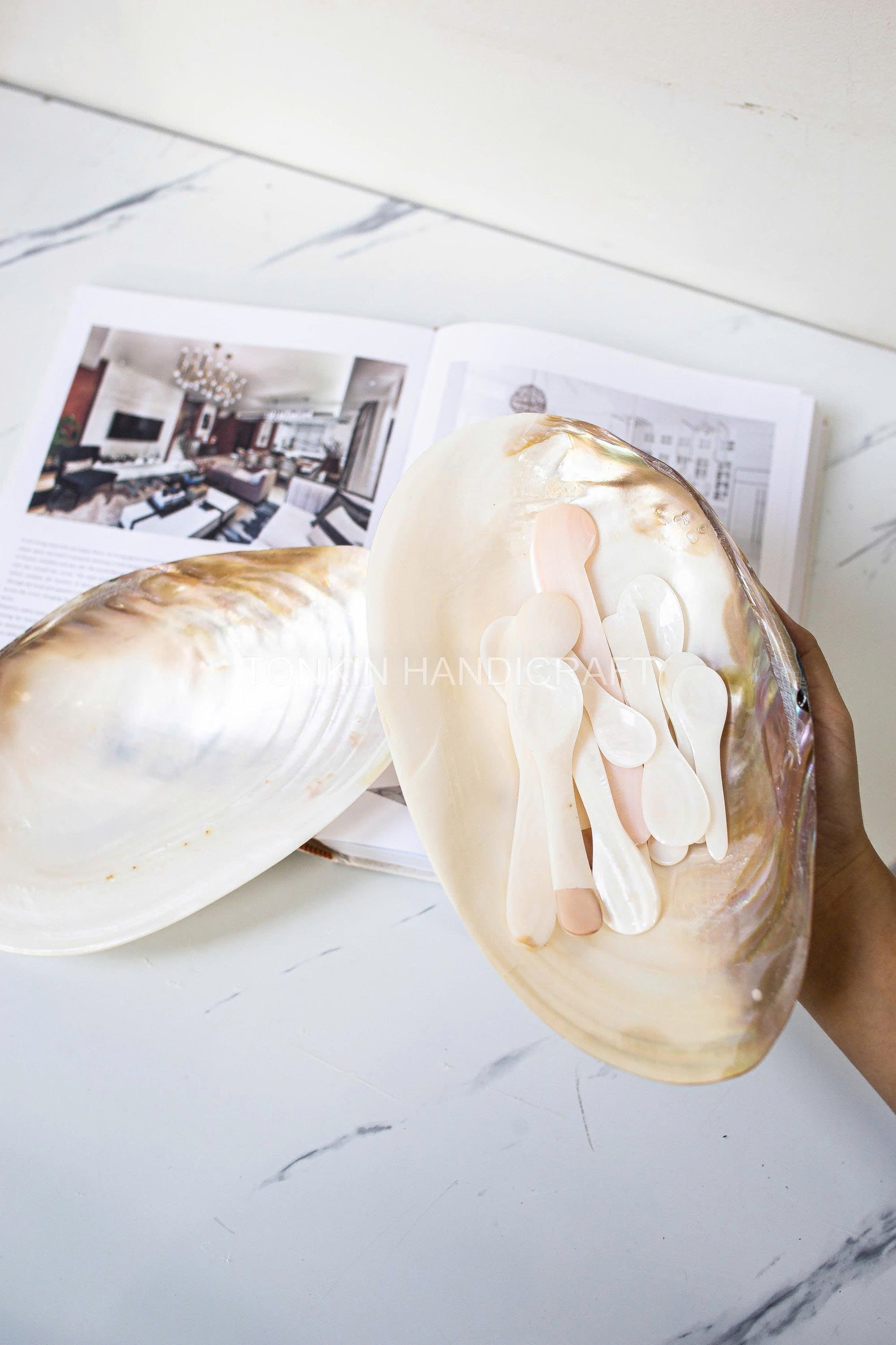 Mother of Pearl Medium Seashell Plate