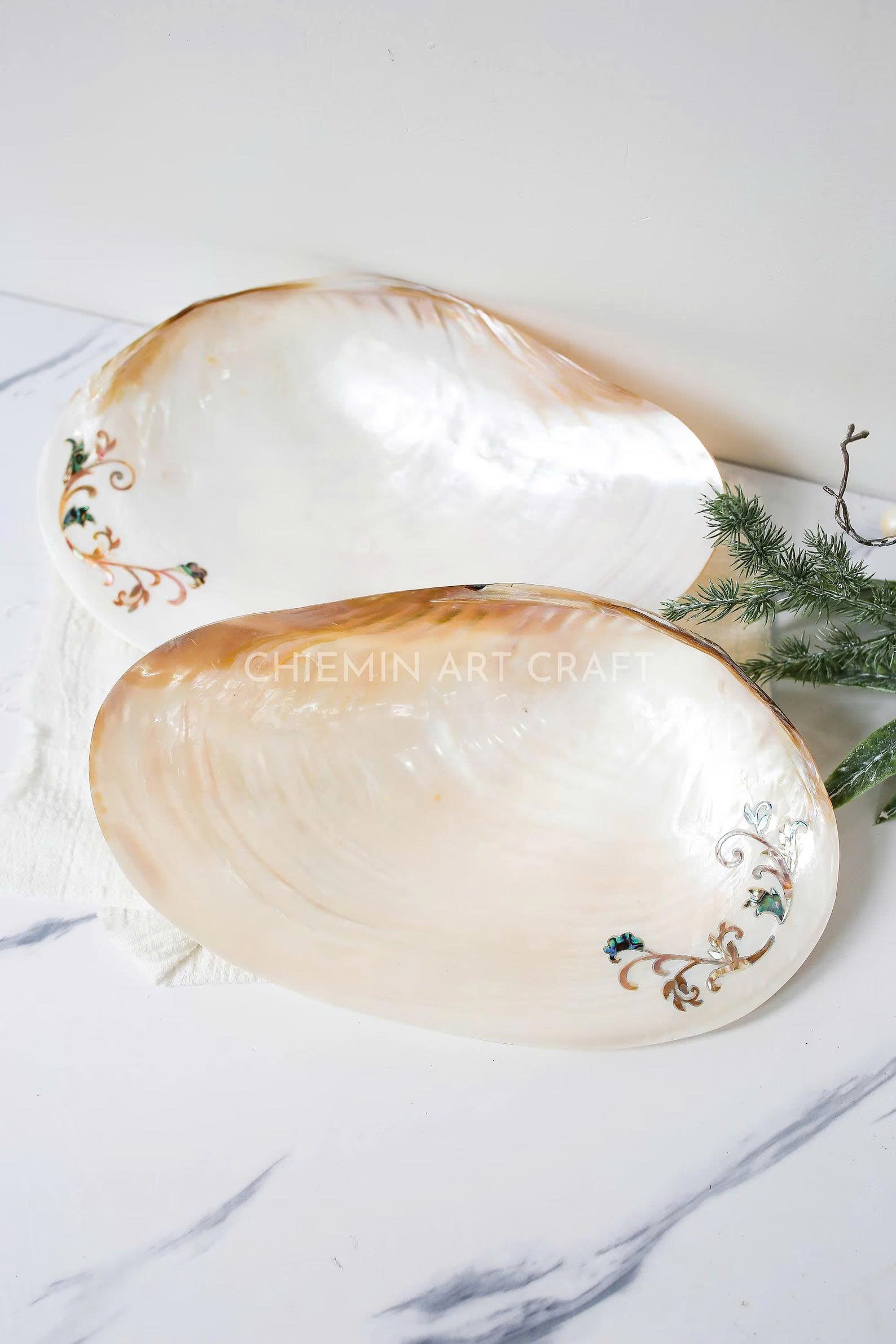 Mother of Pearl Seashell Plate