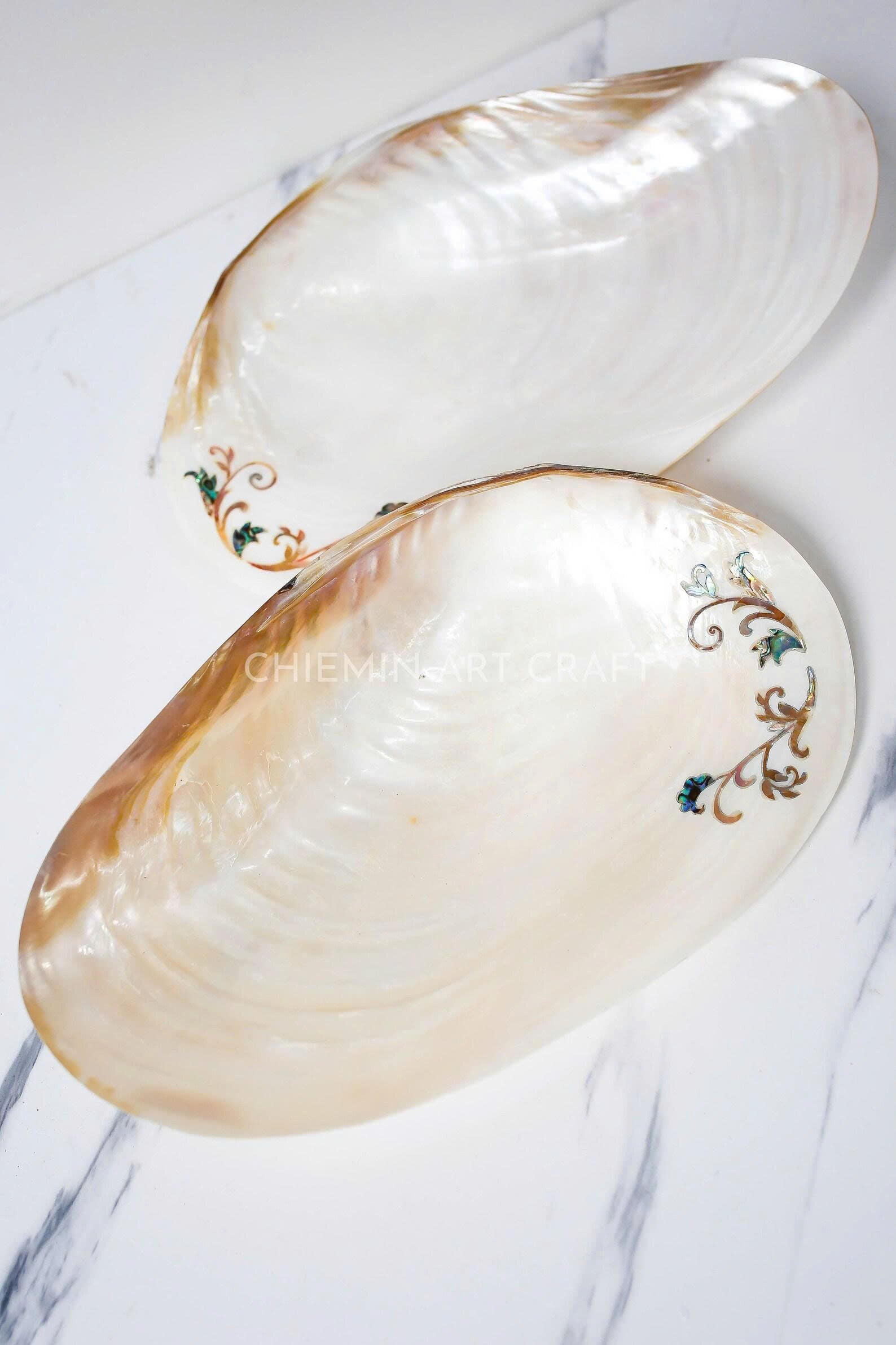 Mother of Pearl Seashell Plate