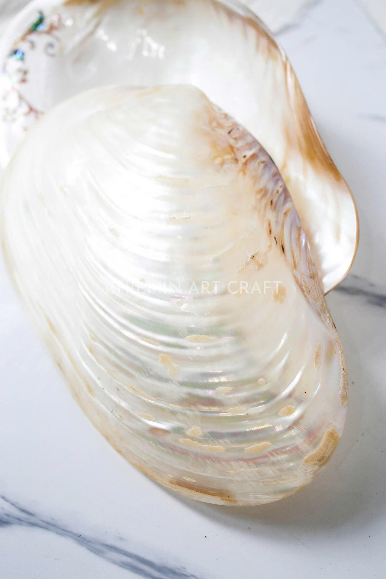 Mother of Pearl Seashell Plate