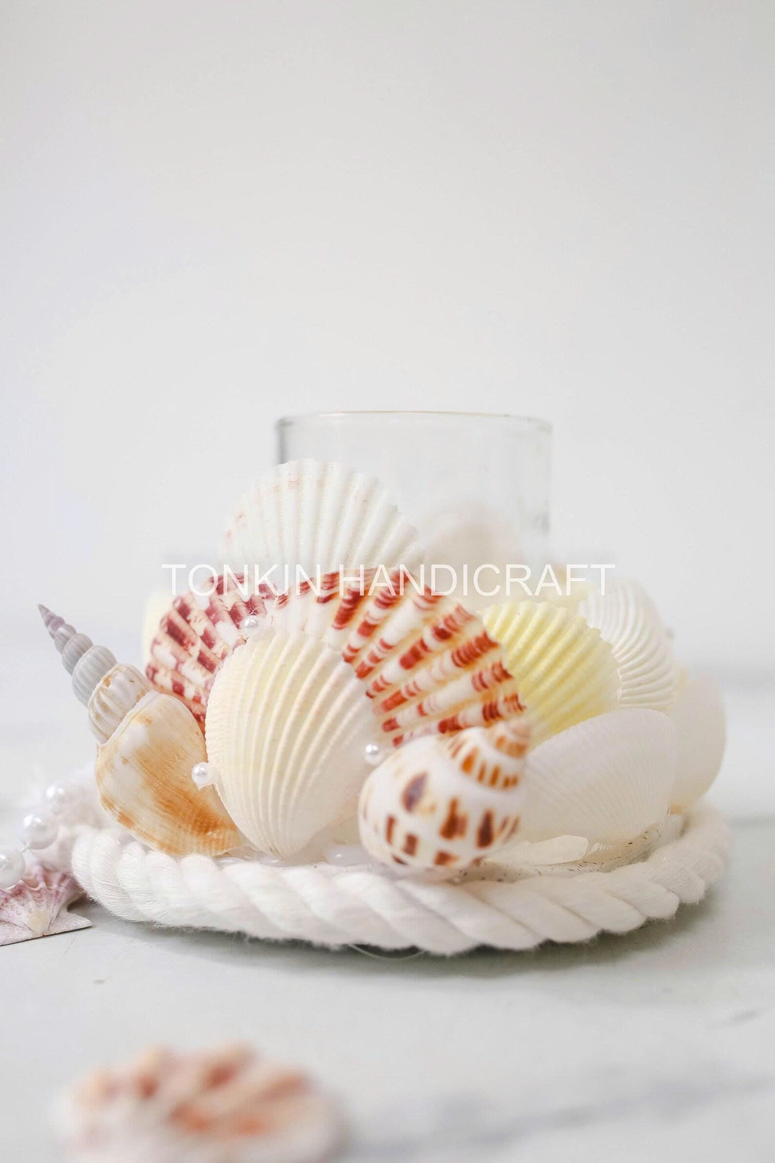 Seashell Centerpiece 1