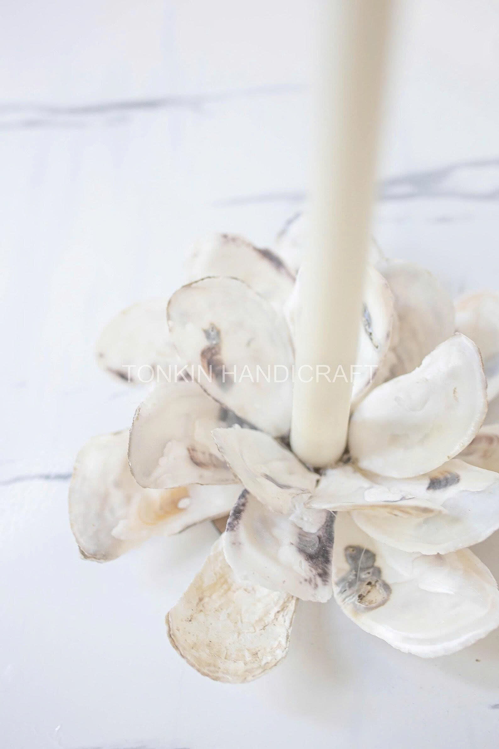 Oyster Candle Holder